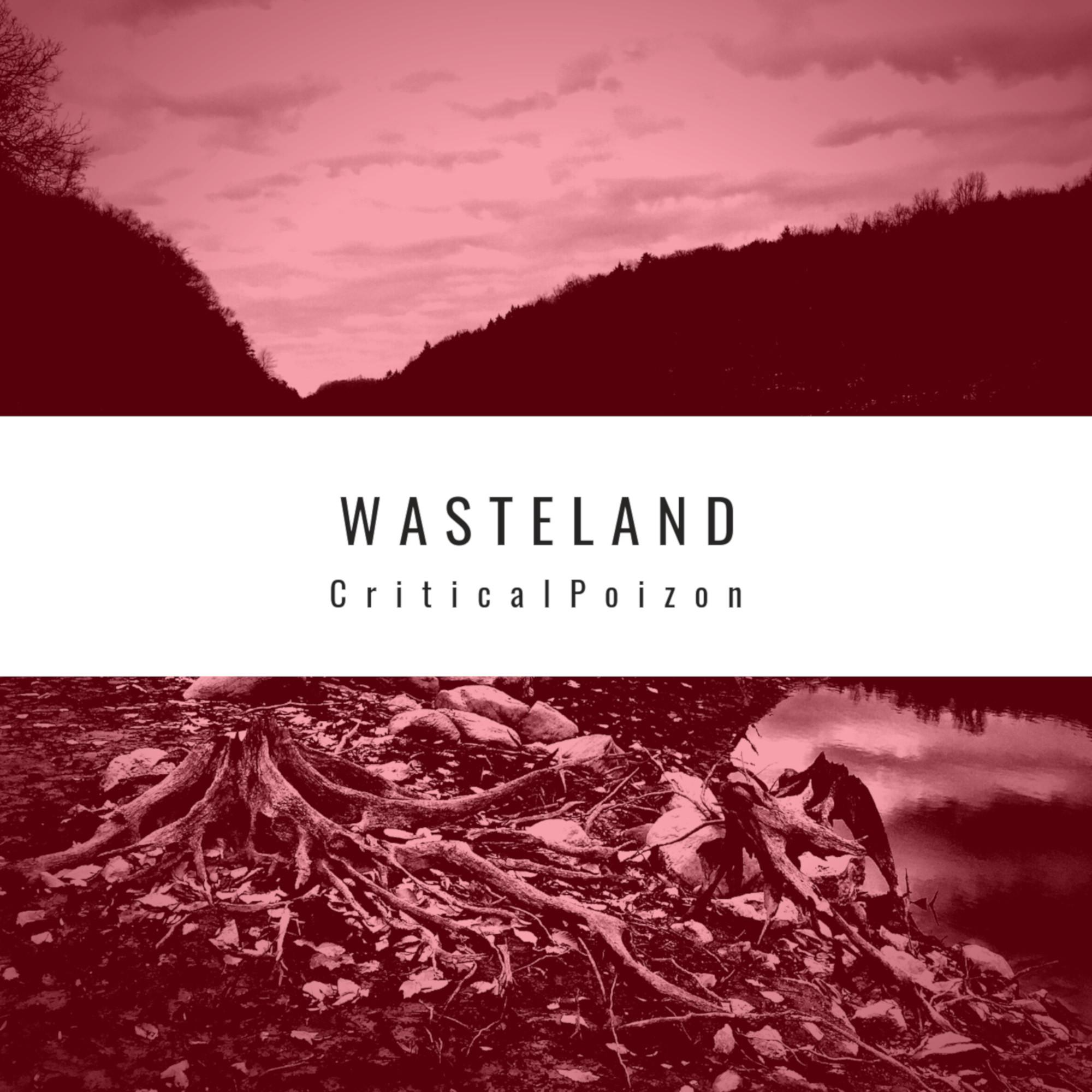 Wasteland