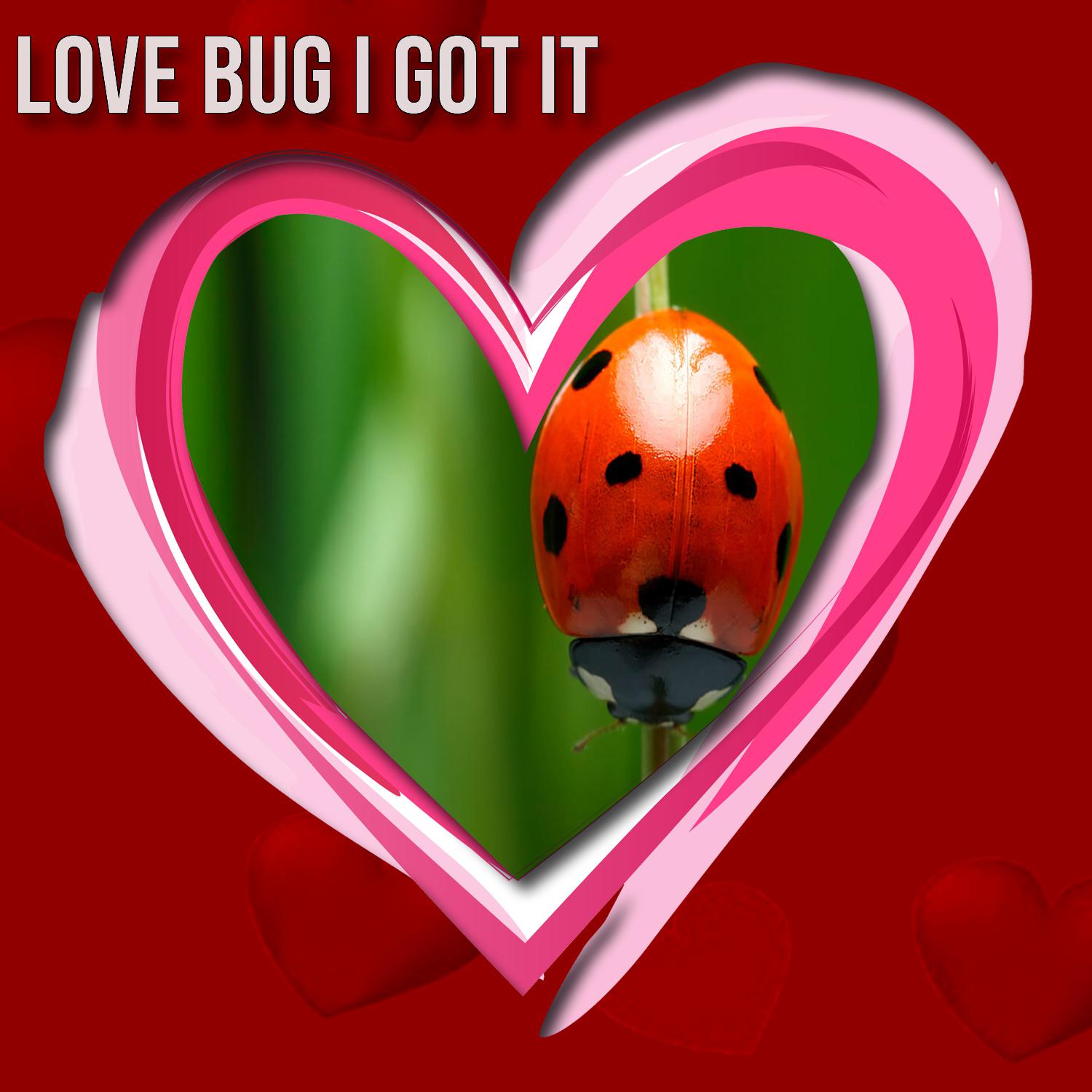 Love Bug I Got It