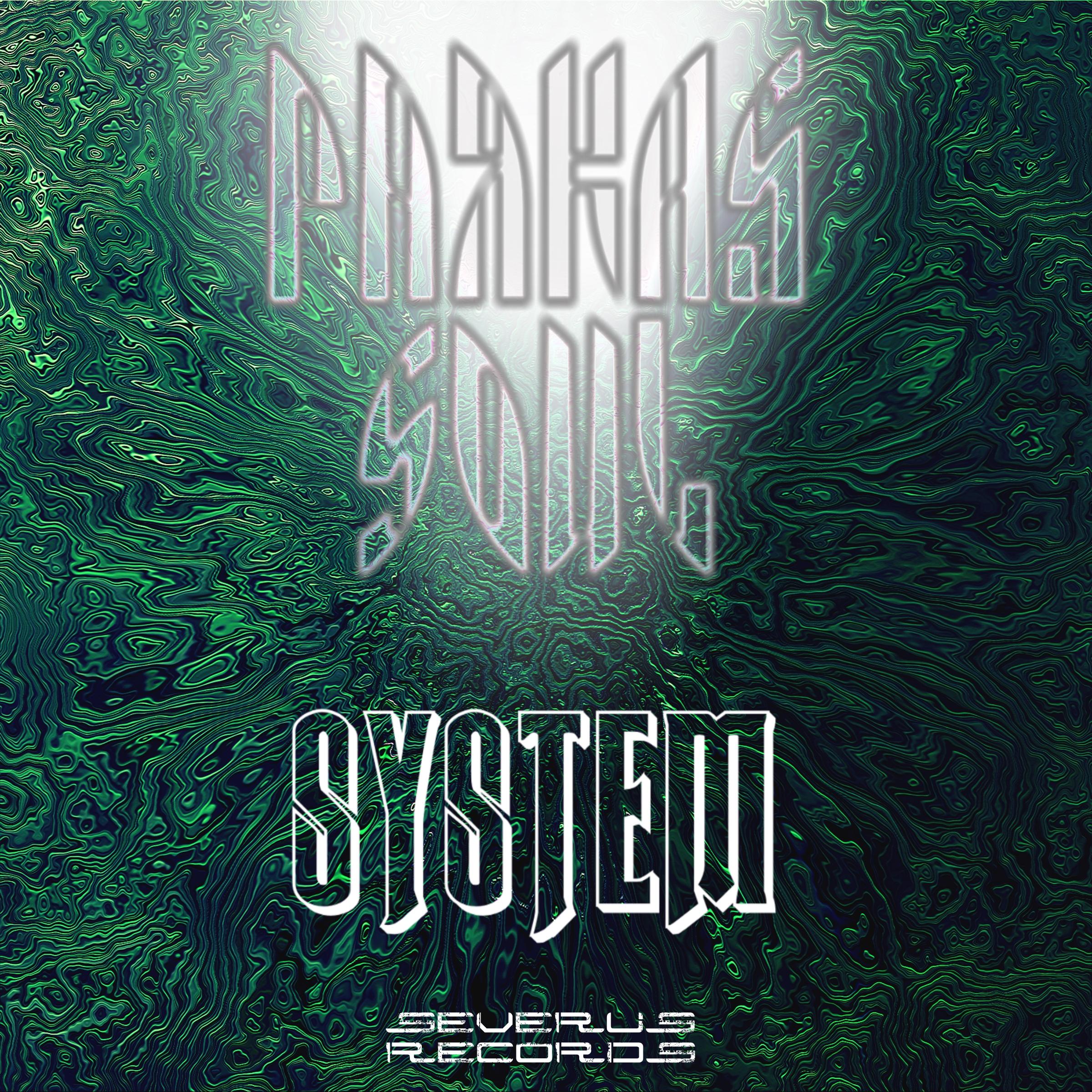 System