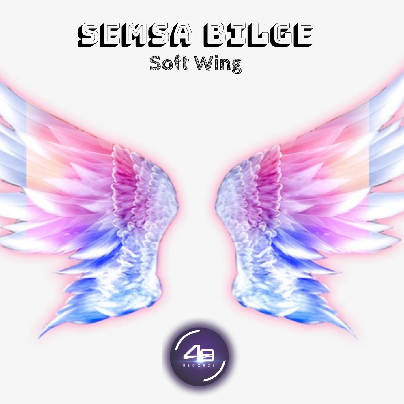 Soft Wing