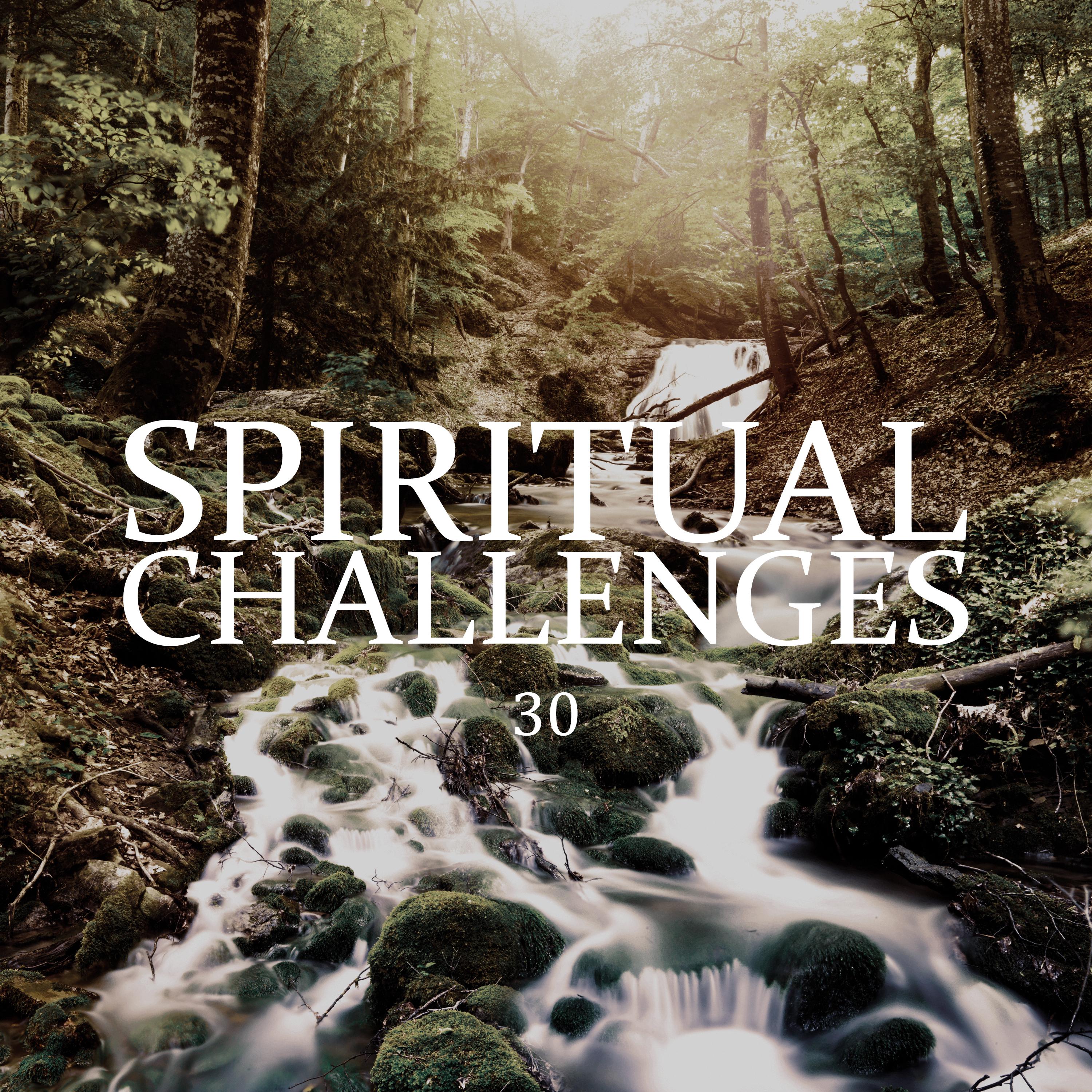 Spiritual Challenges (30 Daily Meditations for Spiritual Development)