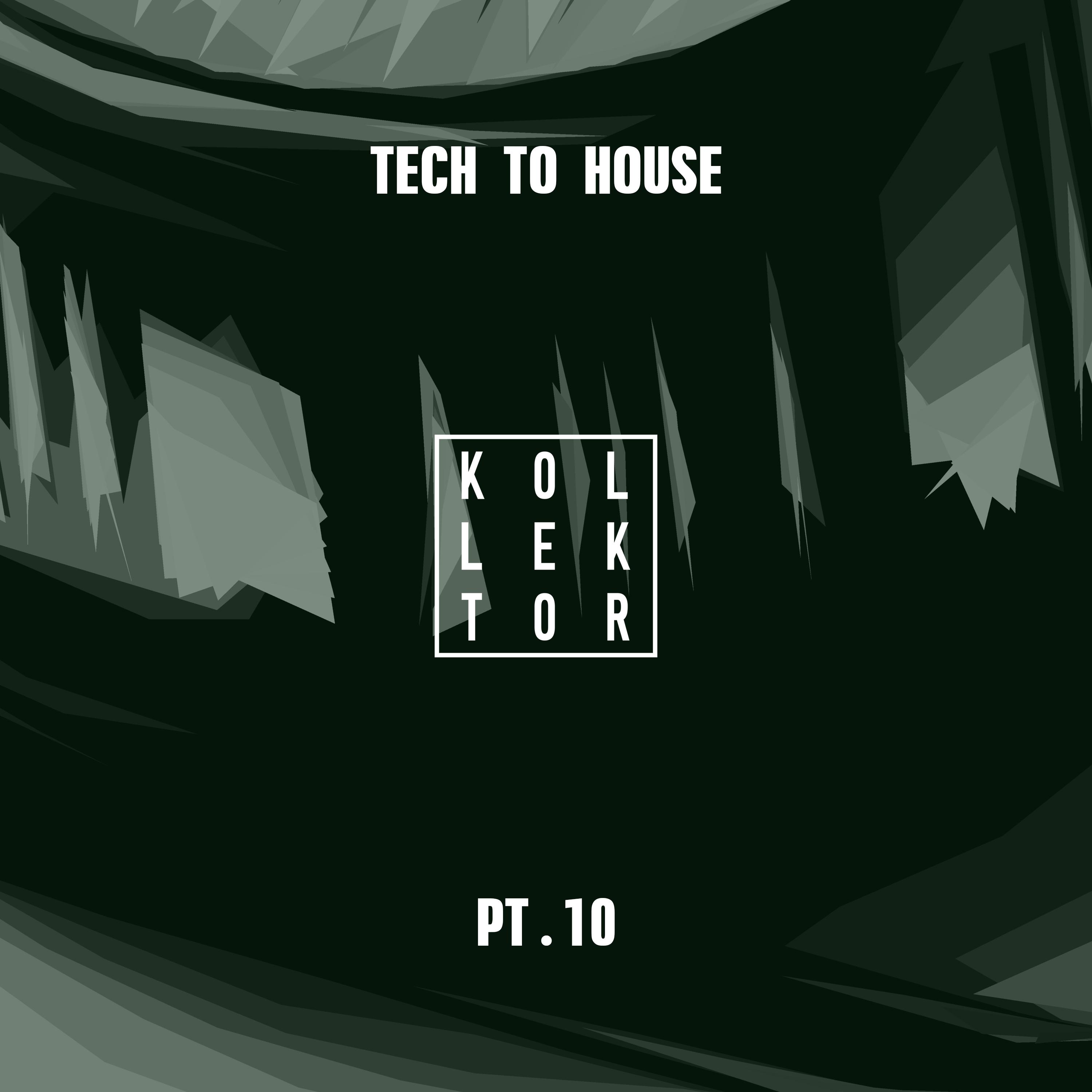 Tech to House, Pt. 10