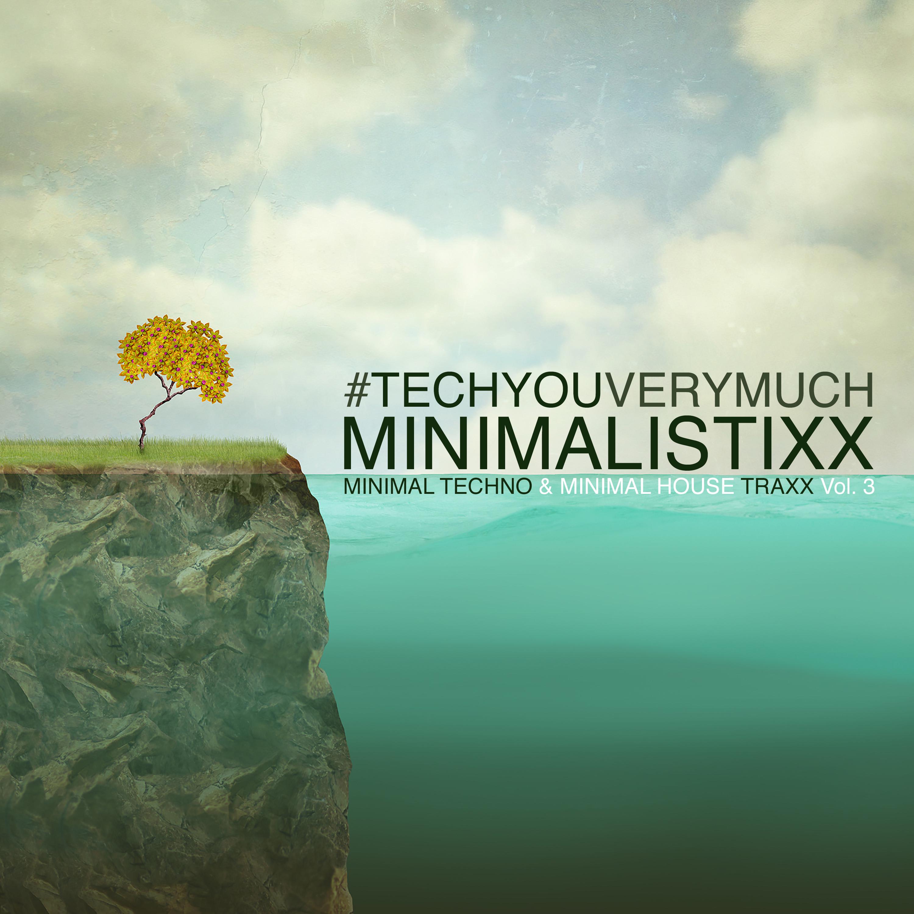 Minimalistixx, Vol. 3 (Minimal Techno & Minimal House Traxx)