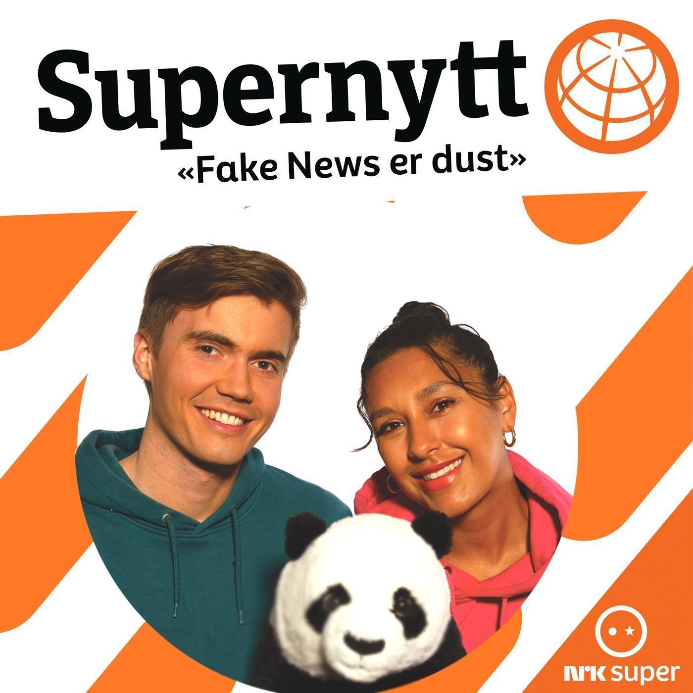 Fake News Er Dust