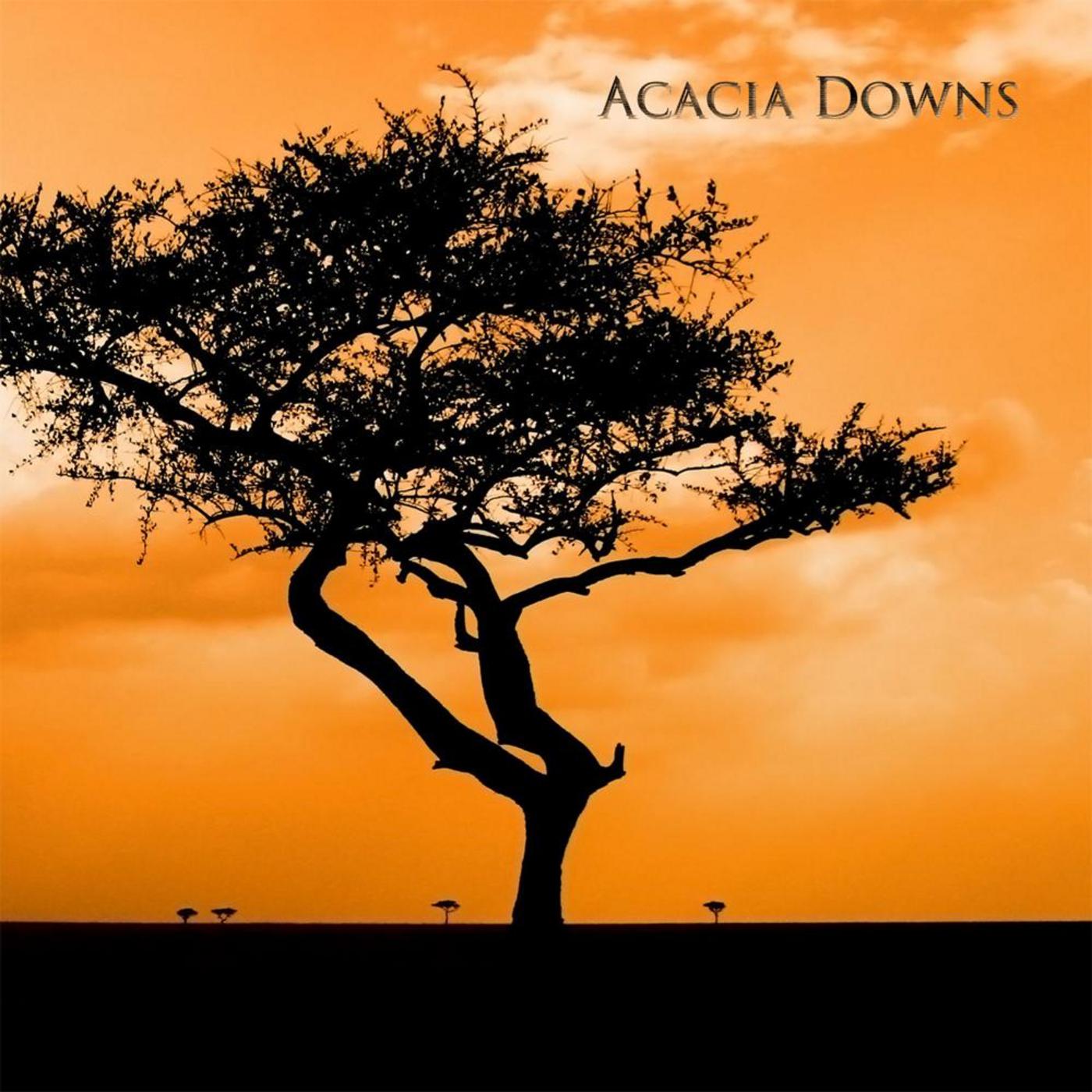 Acacia Downs