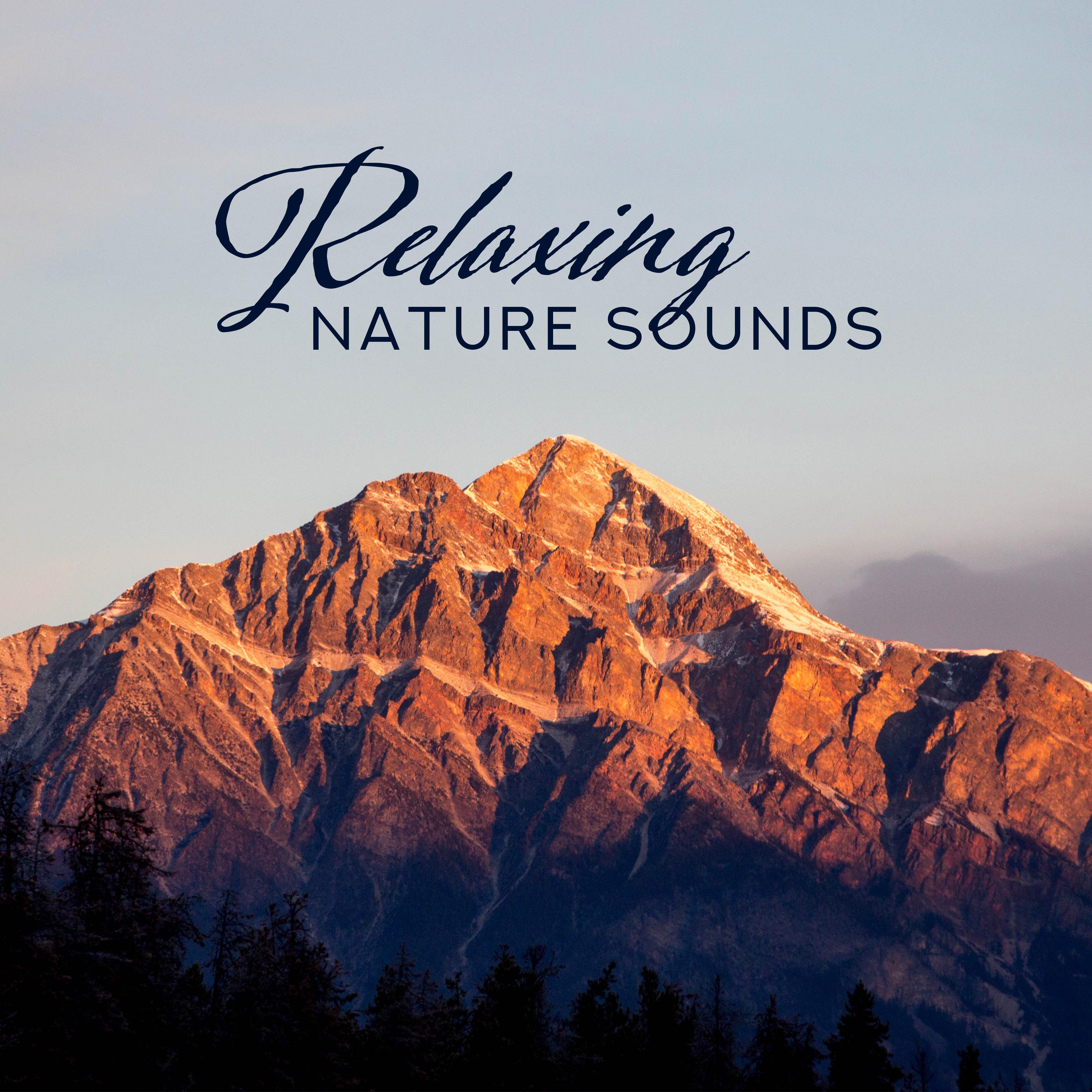 Relaxing Nature Sounds  Healing Music for Pure Mind, Reduce Stress, Nature Music, Inner Harmony, Calming Sounds After Work, Forest Music, Music Therapy, Lounge