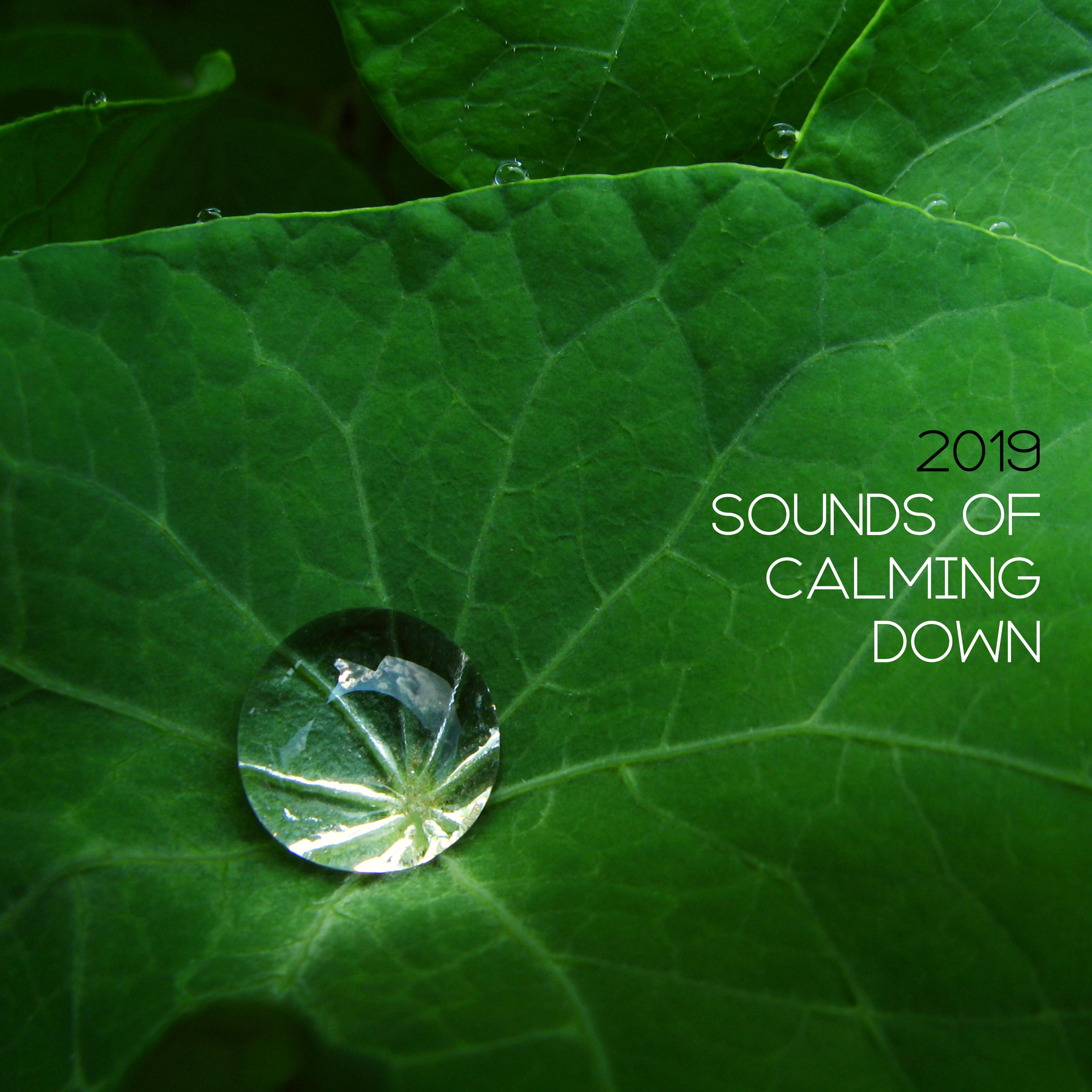 2019 Sounds of Calming Down  New Age Relaxing Music, Stress Relief, Nature Sounds of Water, Wind  Animals