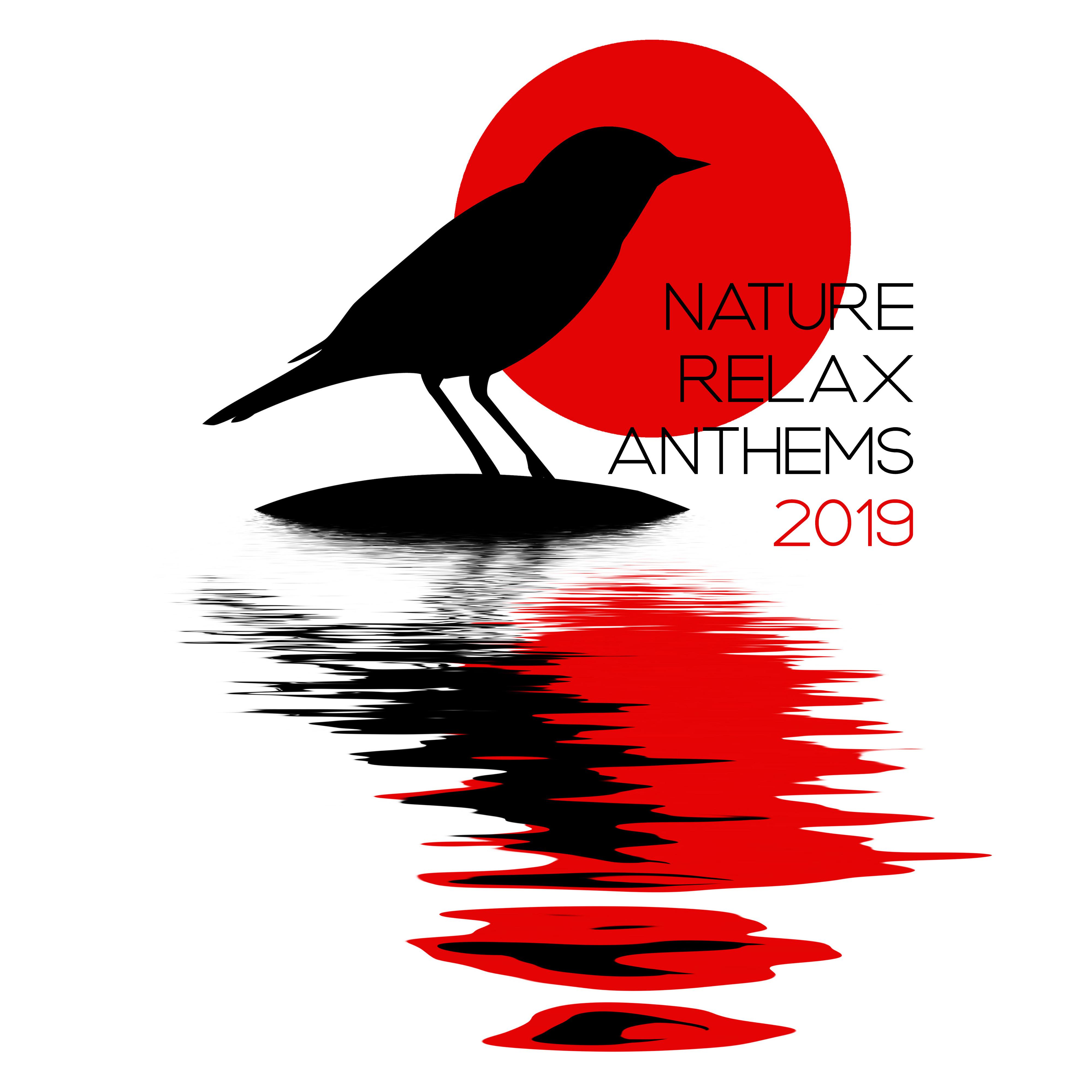 Nature Relax Anthems 2019: Compilation of Beautiful New Age Music, Sounds of Birds, Forest, Meadow, Water for Total Relaxation & Calming Down, Stress Relief Songs
