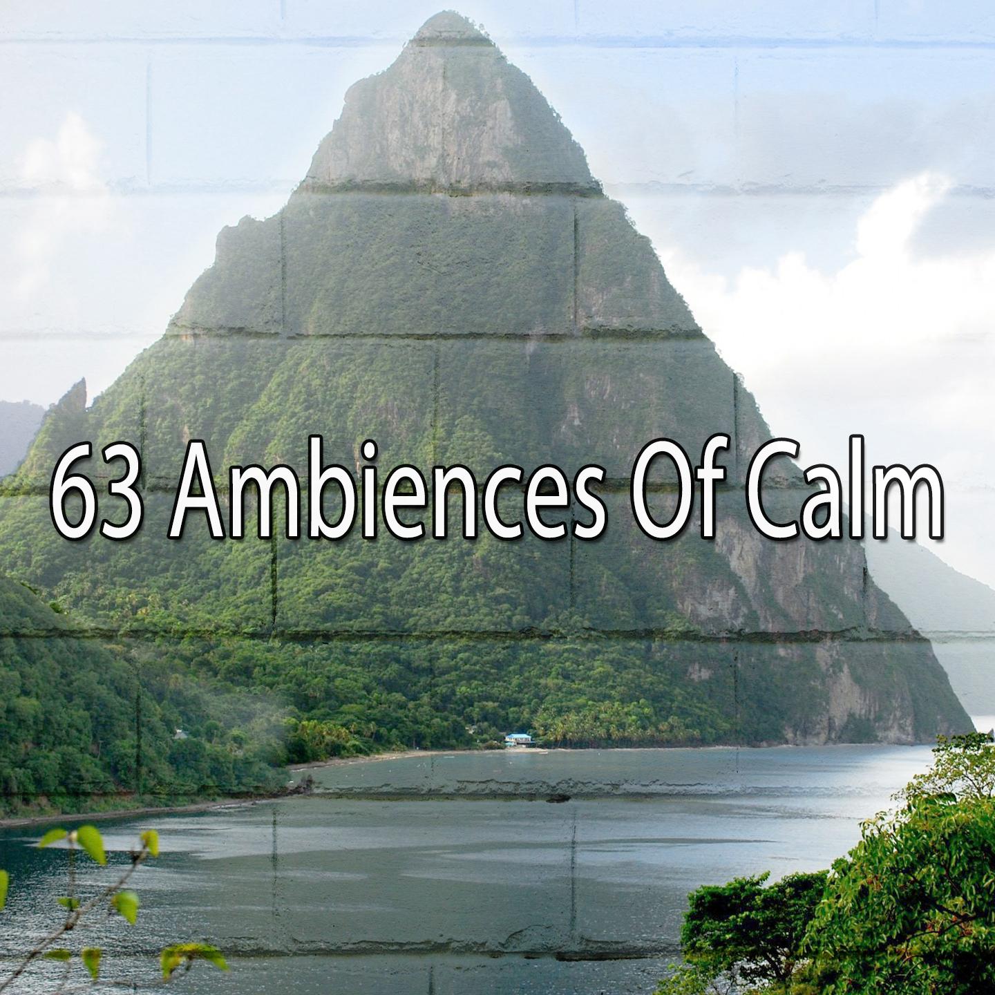 63 Ambiences of Calm