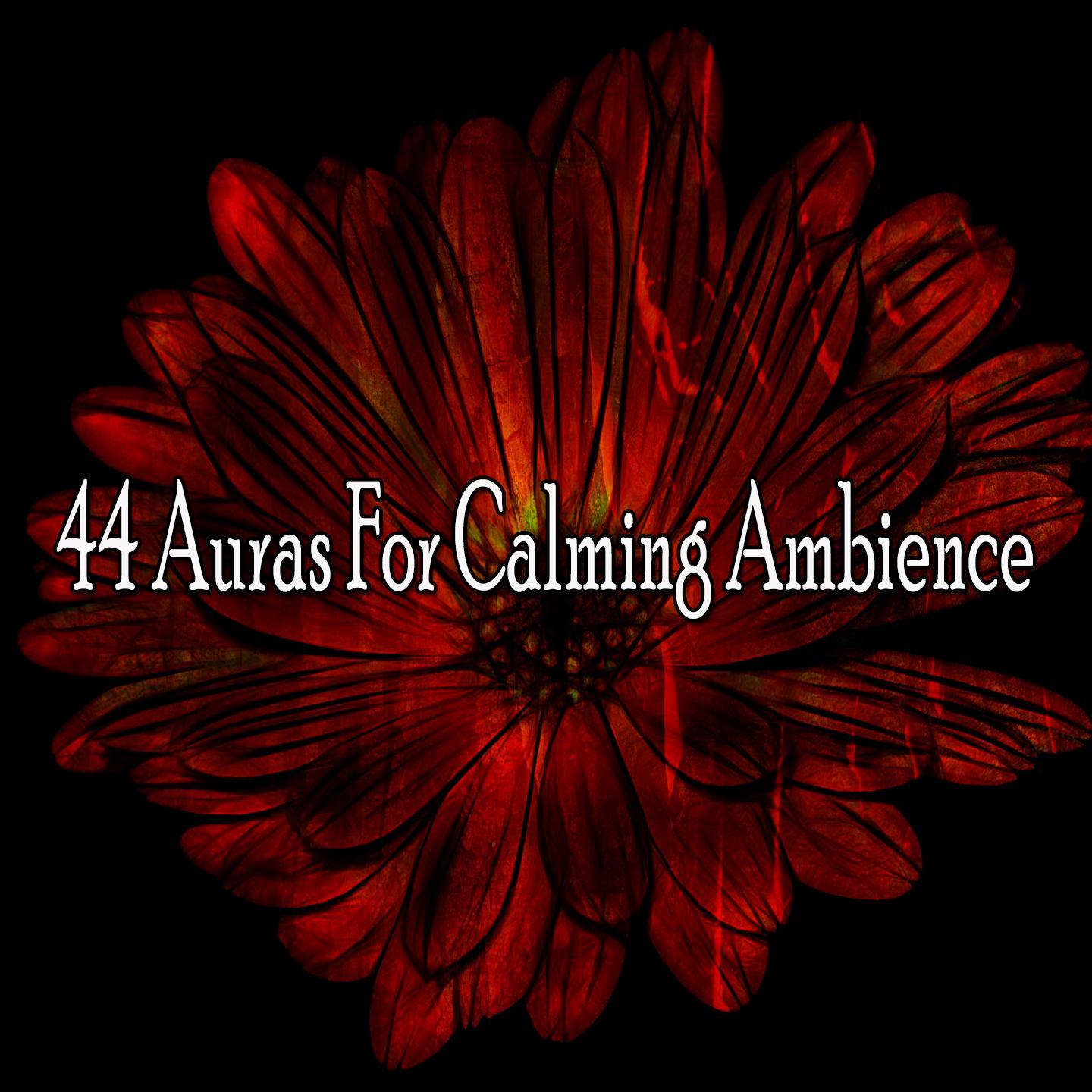 44 Auras for Calming Ambience