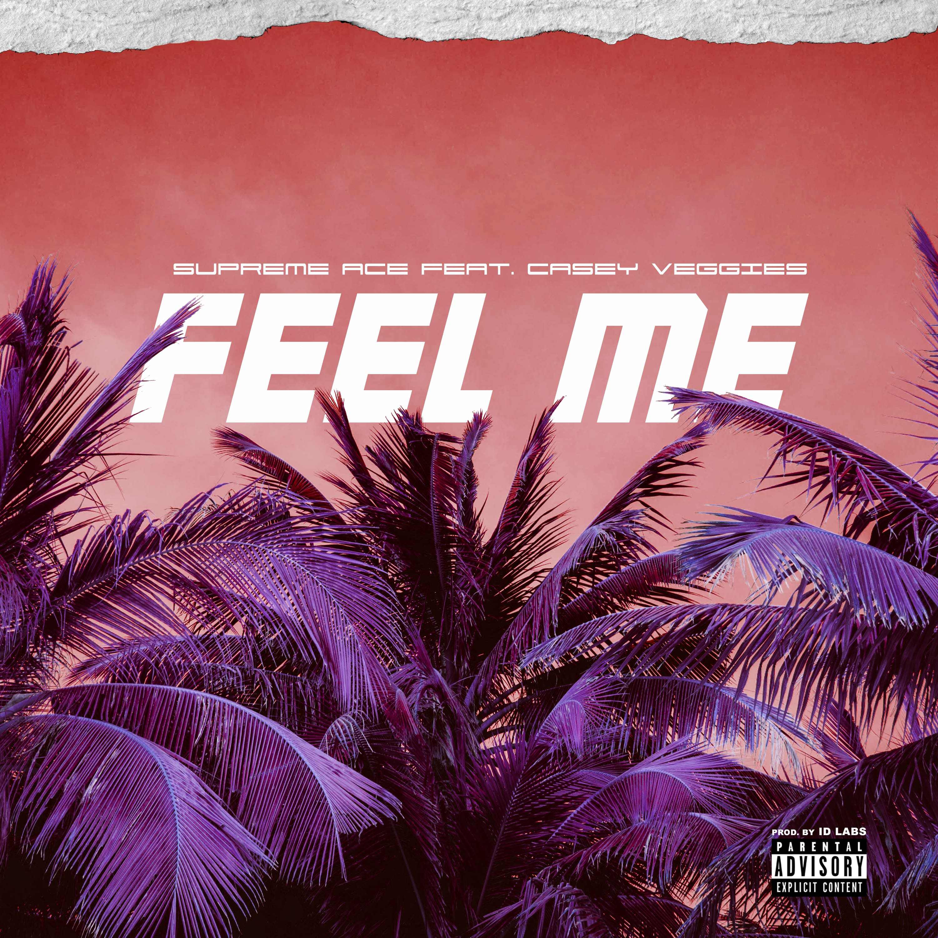 Feel Me (feat. Casey Veggies)