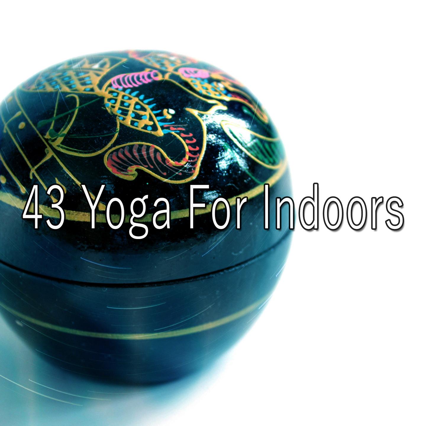 43 Yoga for Indoors