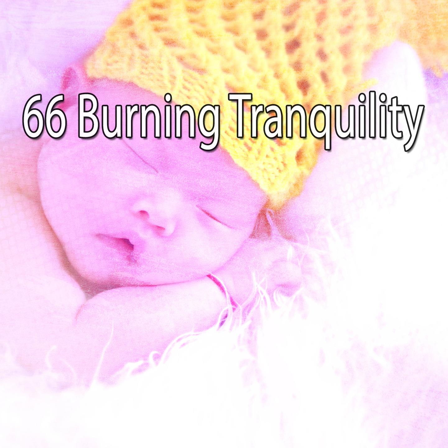 66 Burning Tranquility