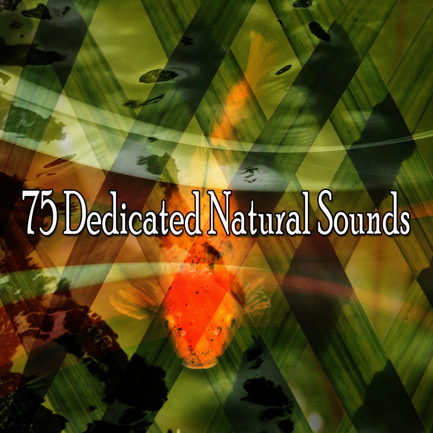 75 Dedicated Natural Sounds