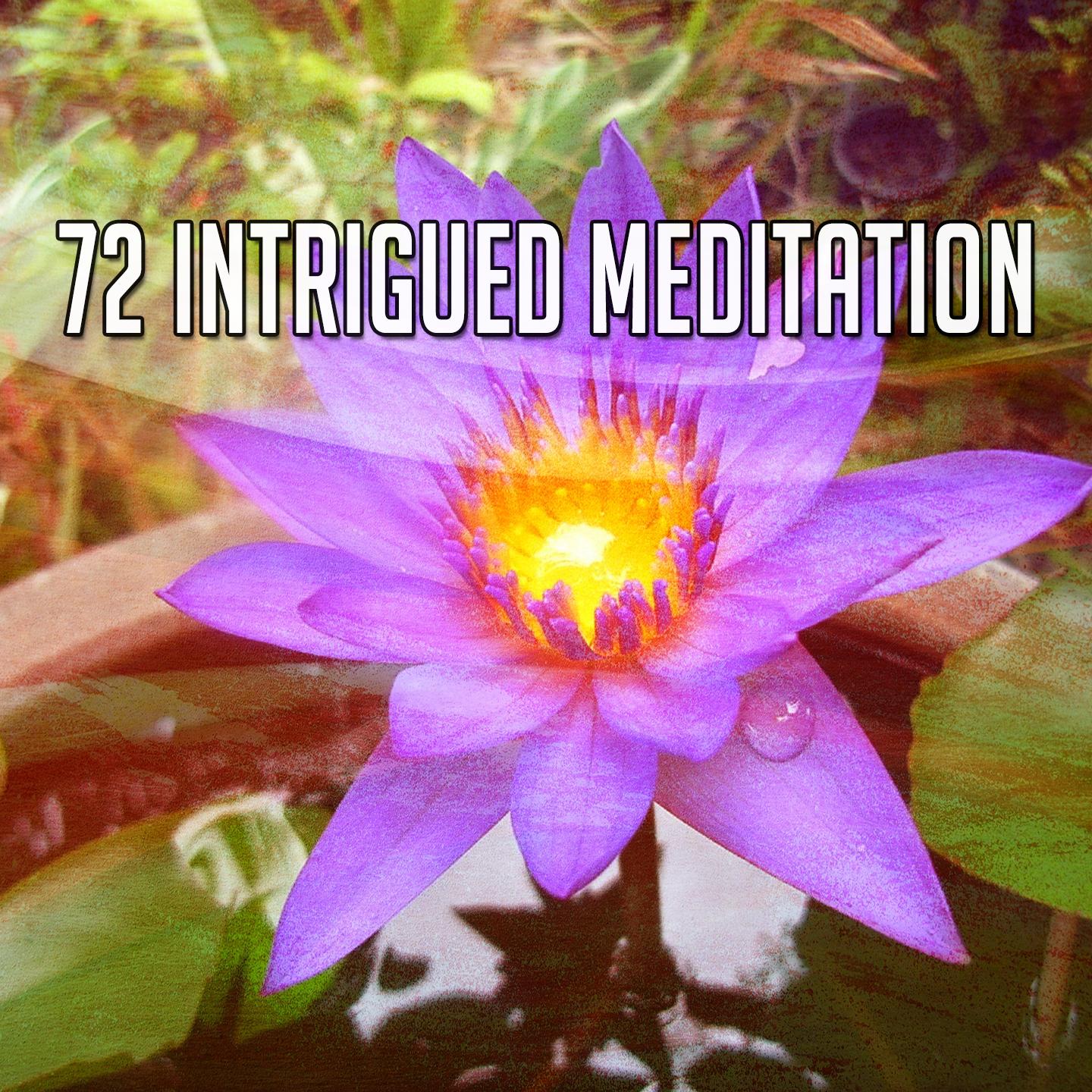 72 Intrigued Meditation