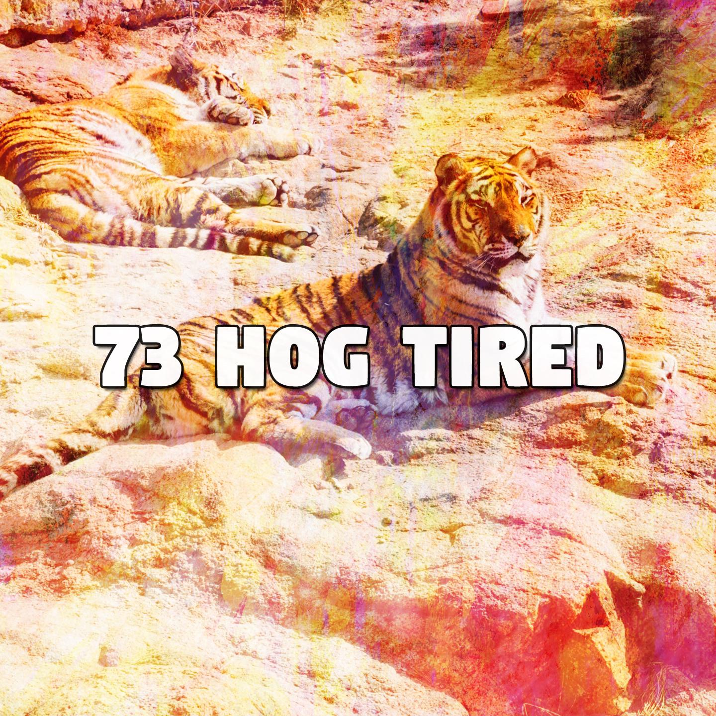 73 Hog Tired