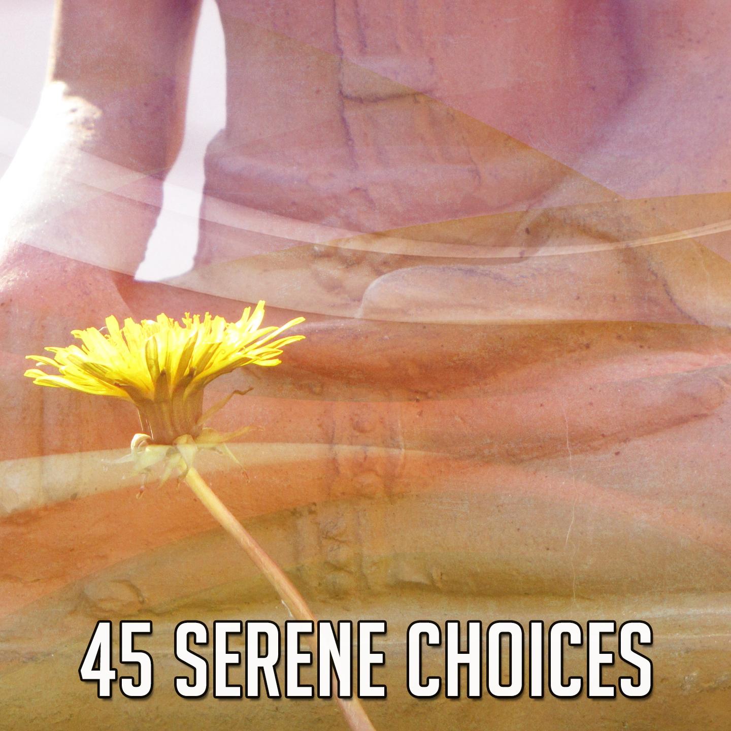 45 Serene Choices