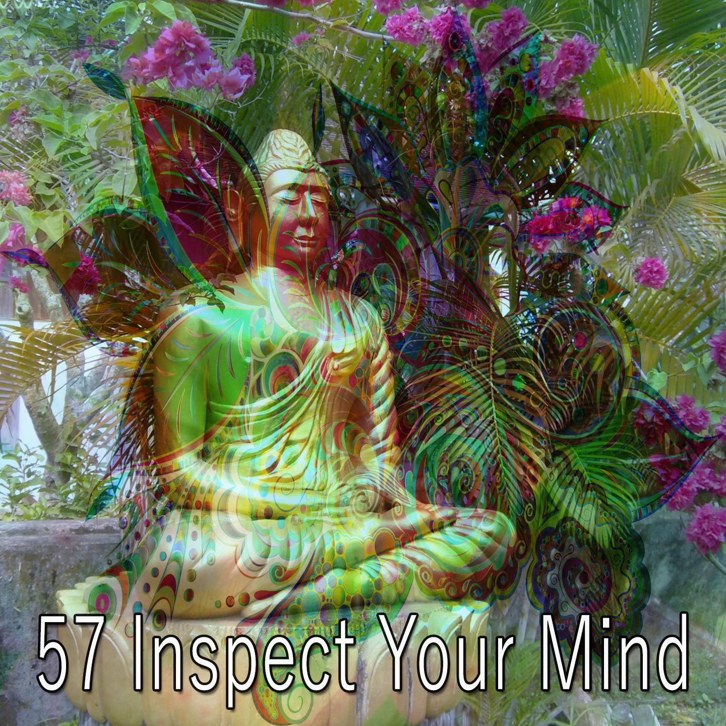 57 Inspect Your Mind
