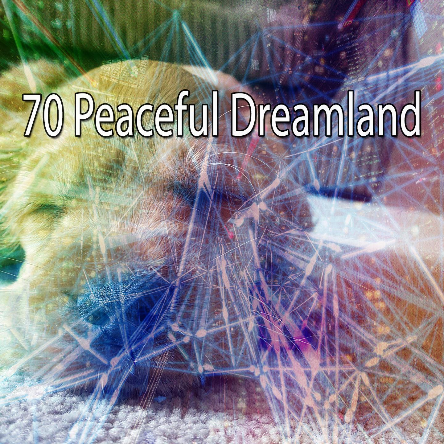 70 Peaceful Dreamland