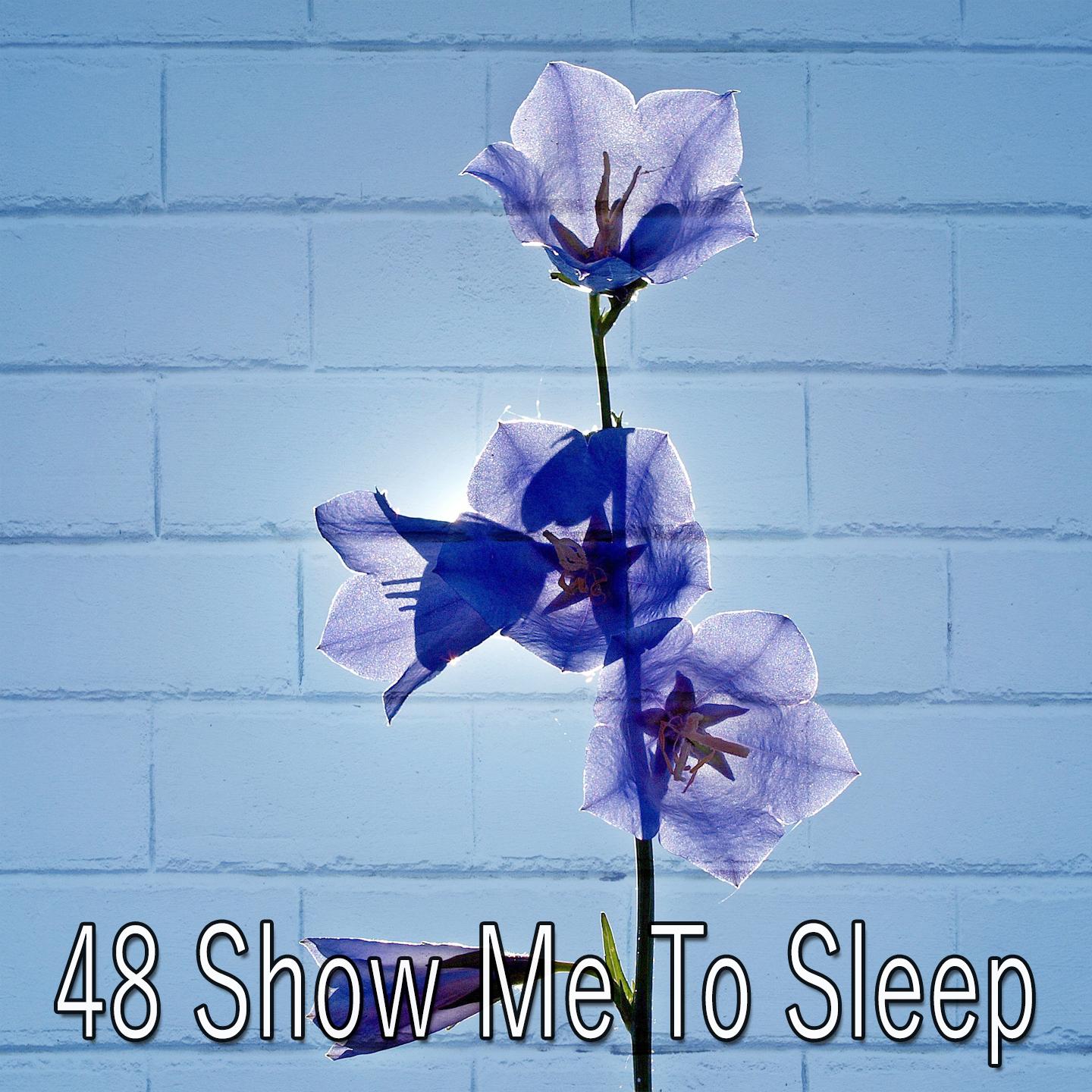 48 Show Me to Sleep