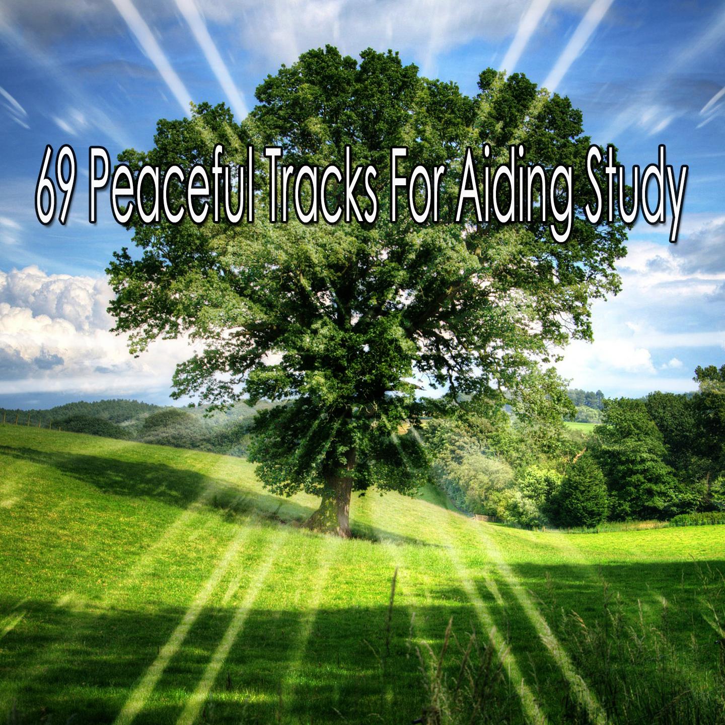 69 Peaceful Tracks for Aiding Study