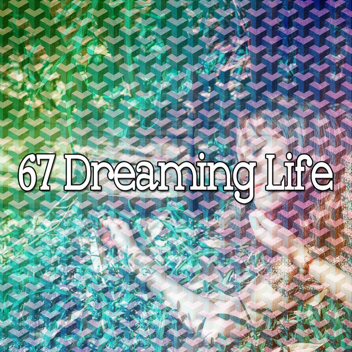 67 Dreaming Life