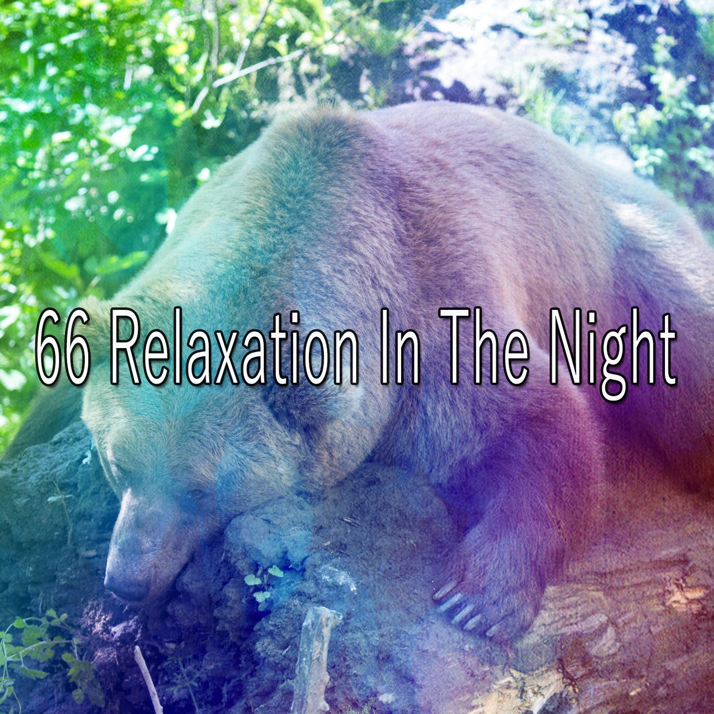 66 Relaxation in the Night
