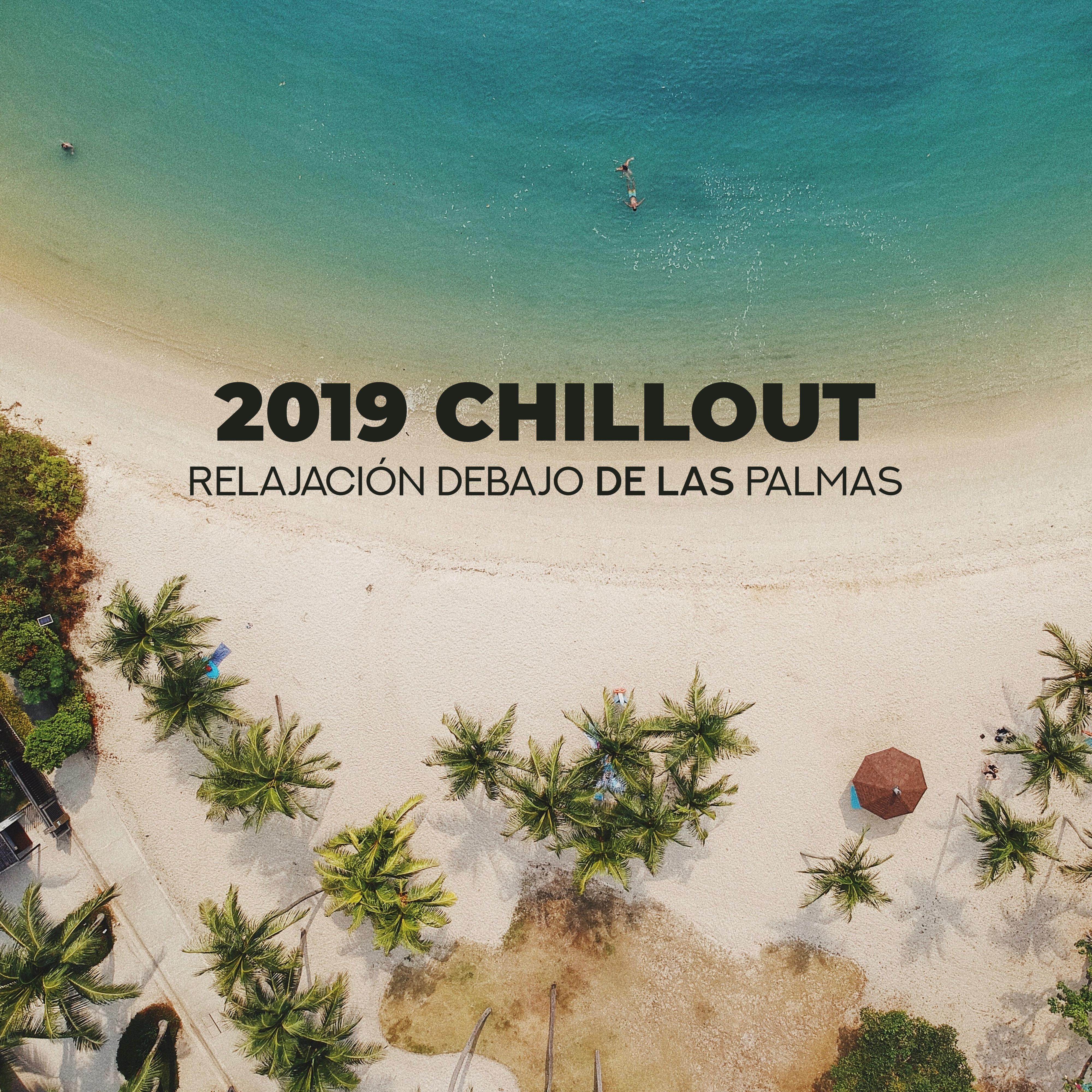 2019 Chillout Relajacio n Debajo de las Palmas