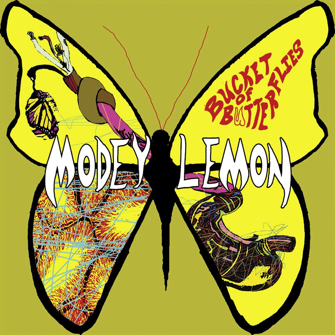 Bucket Of Butterflies