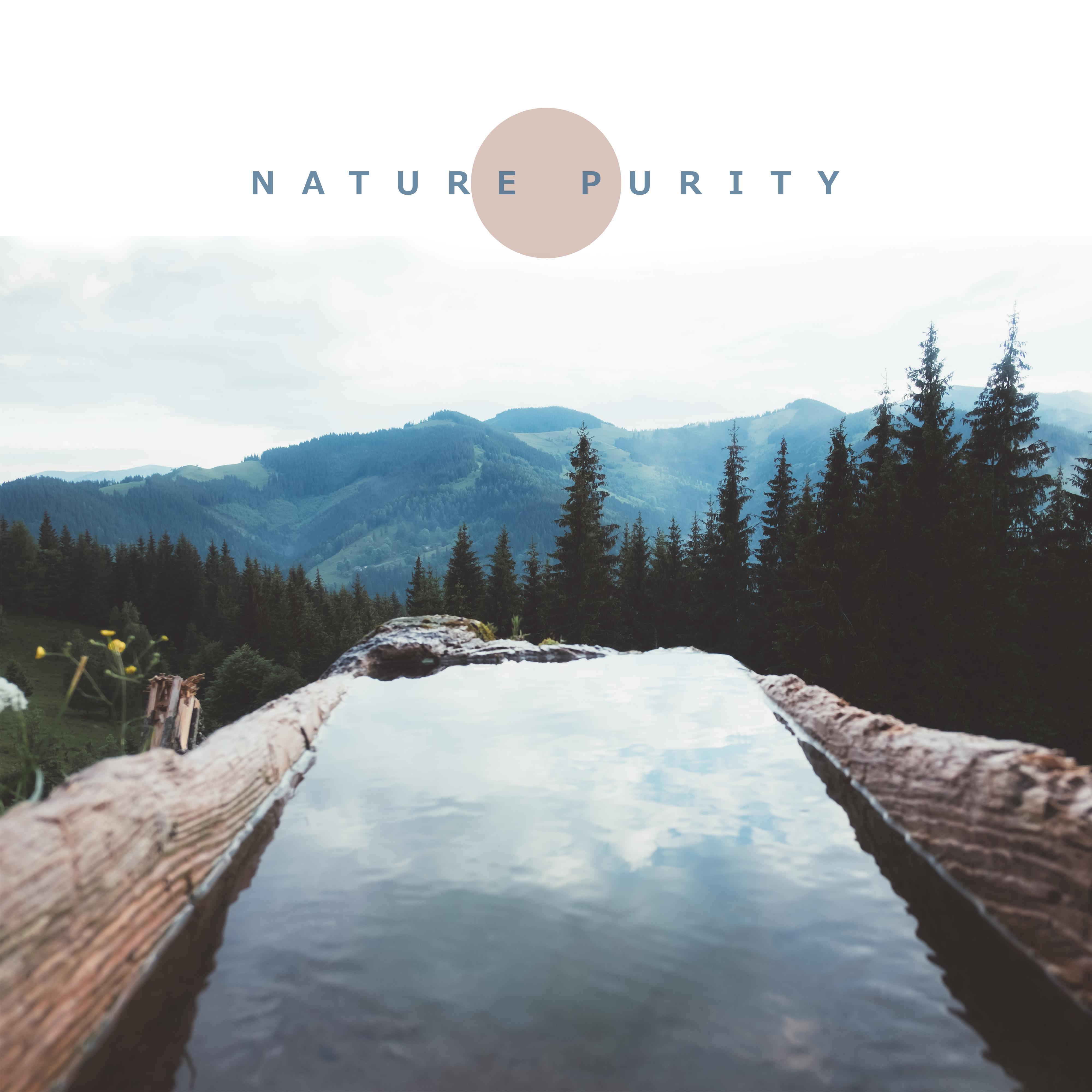 Nature Purity: Healing Music for Relaxation, Soothing Sounds of Nature, Deep Relax, Meditation, Calm Down, Zen, Ambient Music