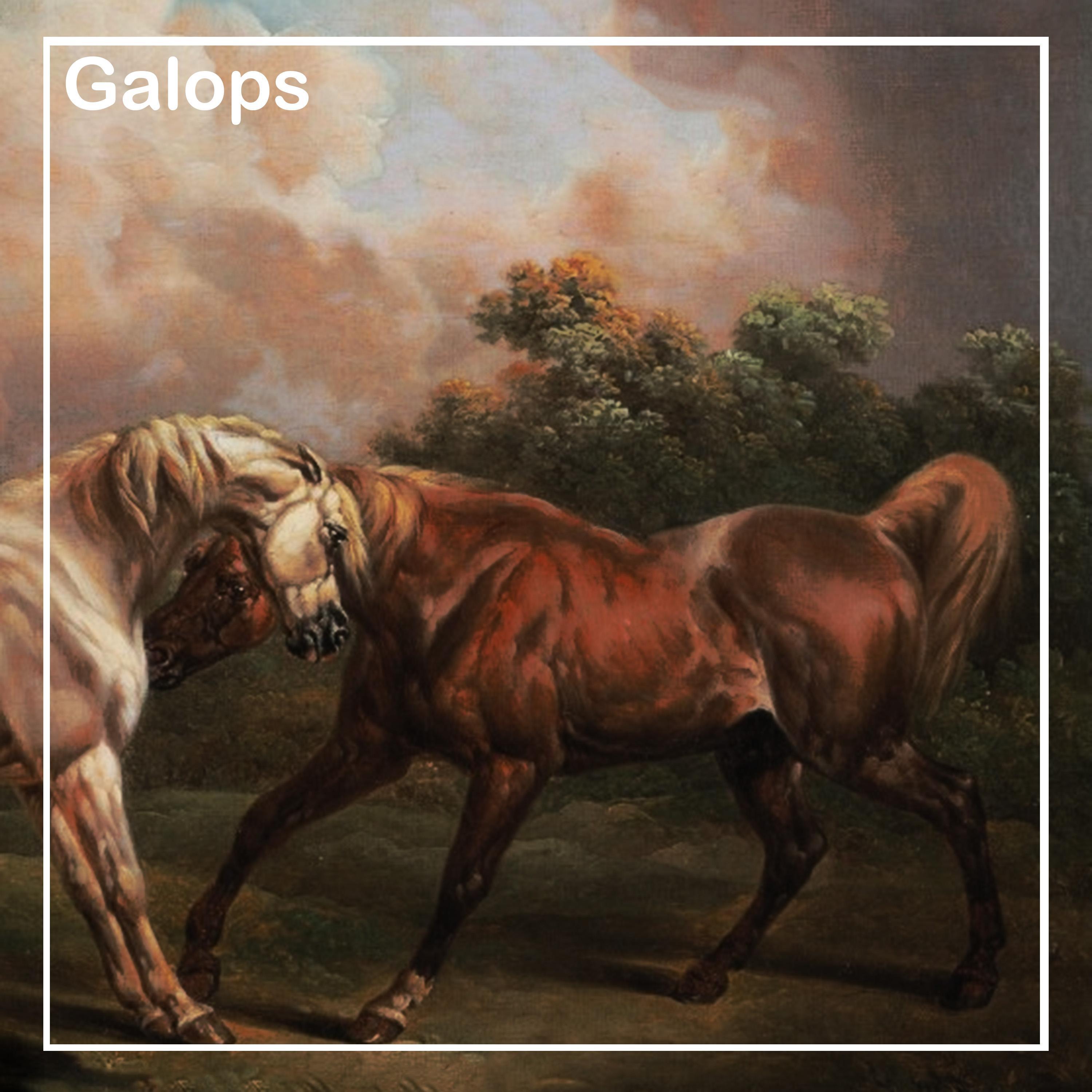 Galop in A Minor, S. 218