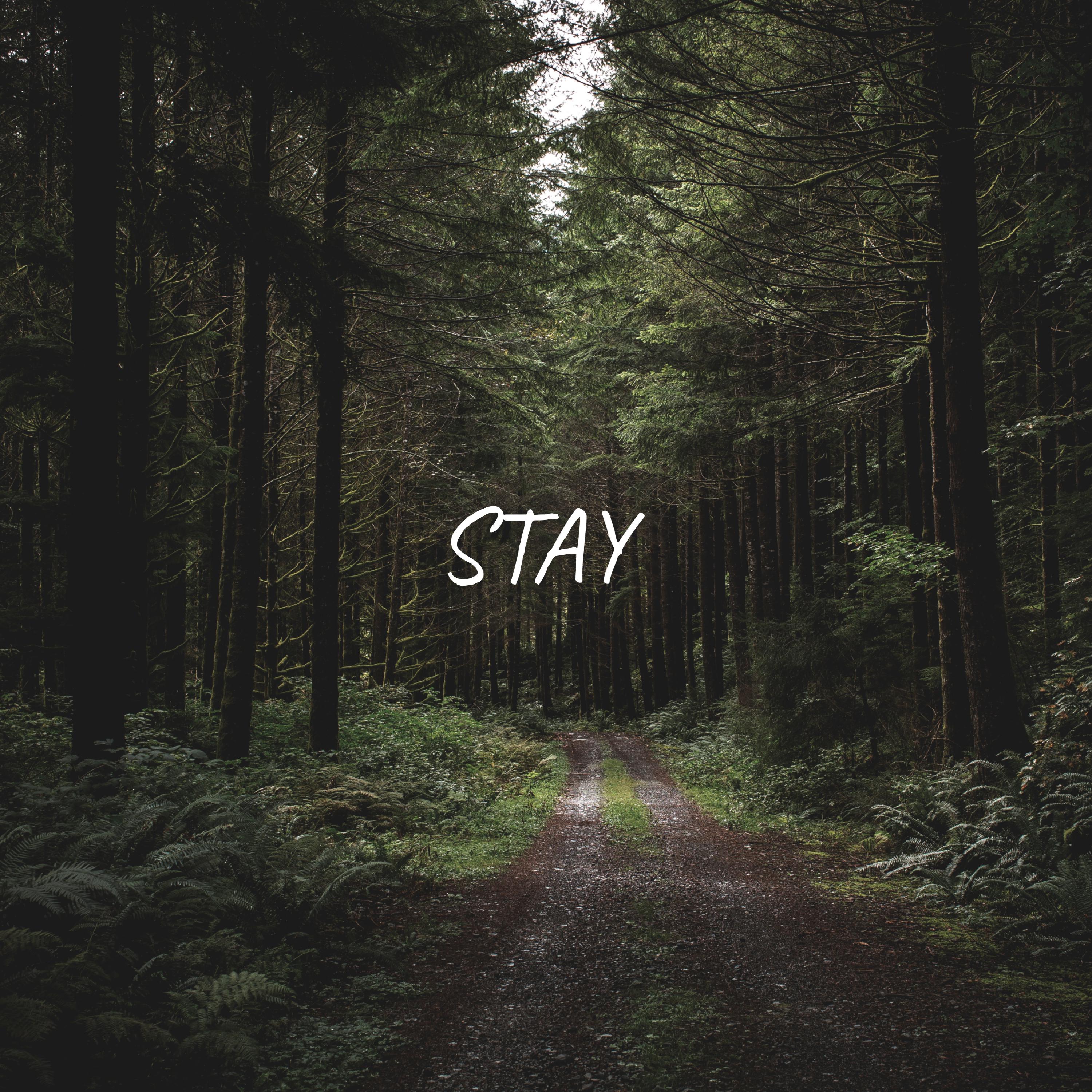 Stay