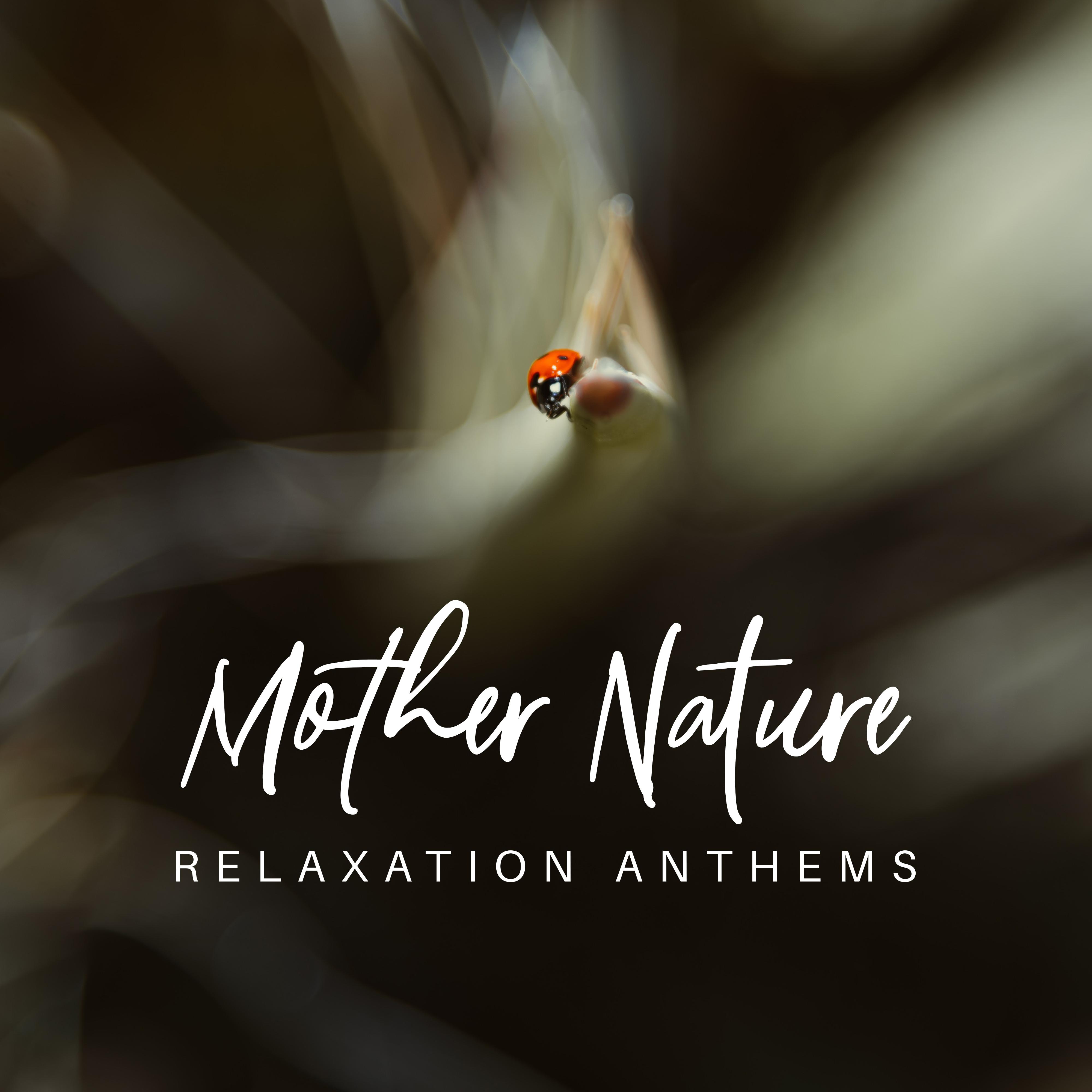 Mother Nature Relaxation Anthems: 2019 New Age Music for Total Relax, Calming Down Sounds, Rest After Long Day