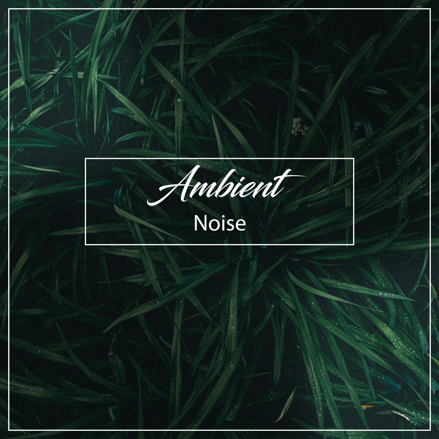 Ambient Noise for Travel and Sleep, Block Out Background Noises, Zone out on Buses and Airplanes