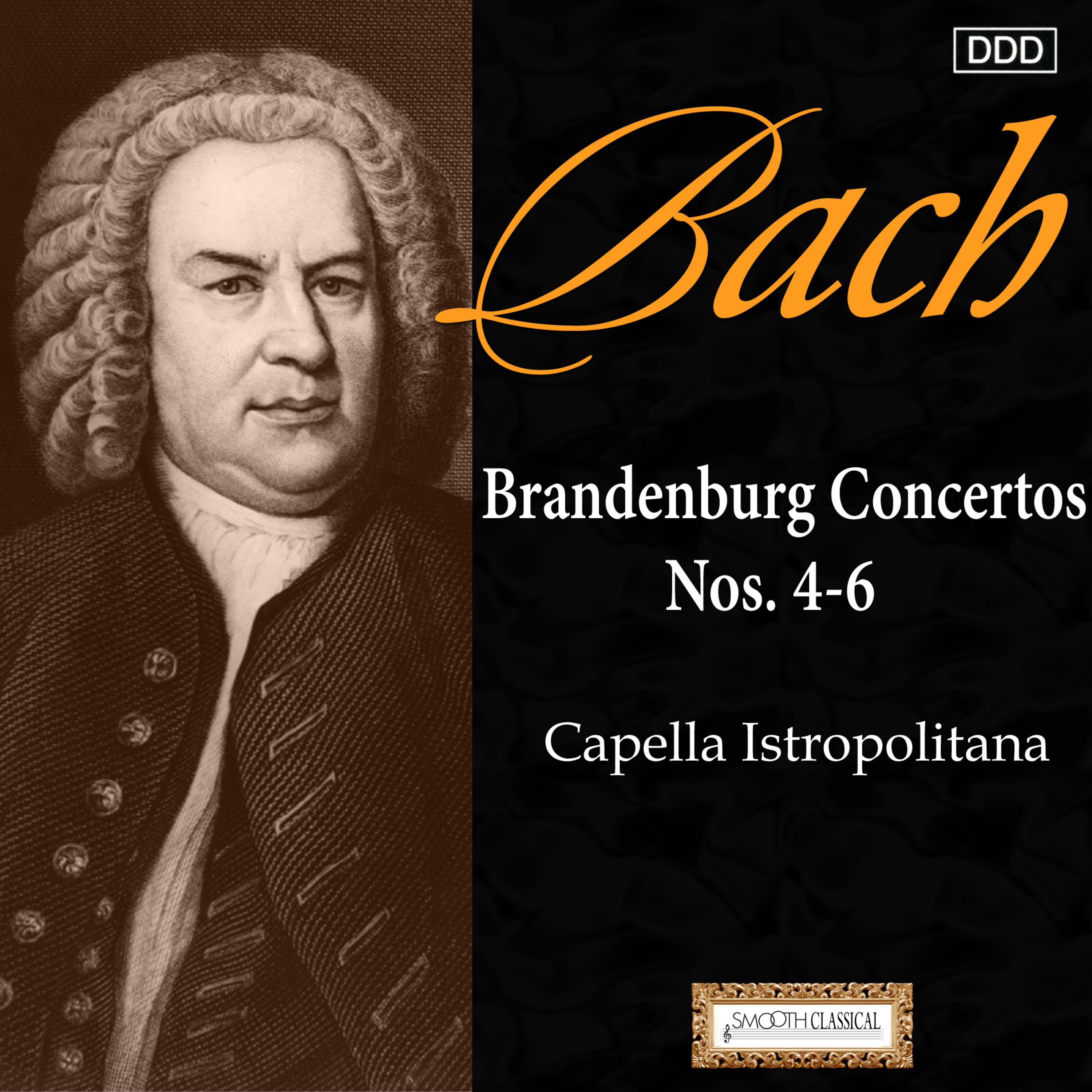 Brandenburg Concerto No. 6 in B-Flat Major, BWV 1051: II. Adagio ma non troppo