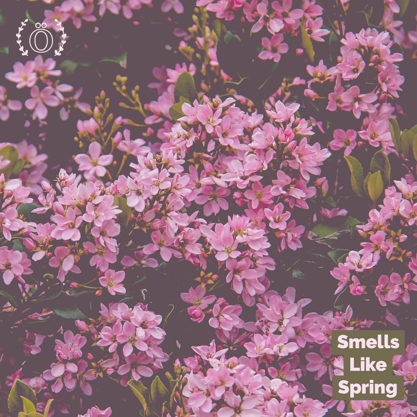 Smells Like Spring