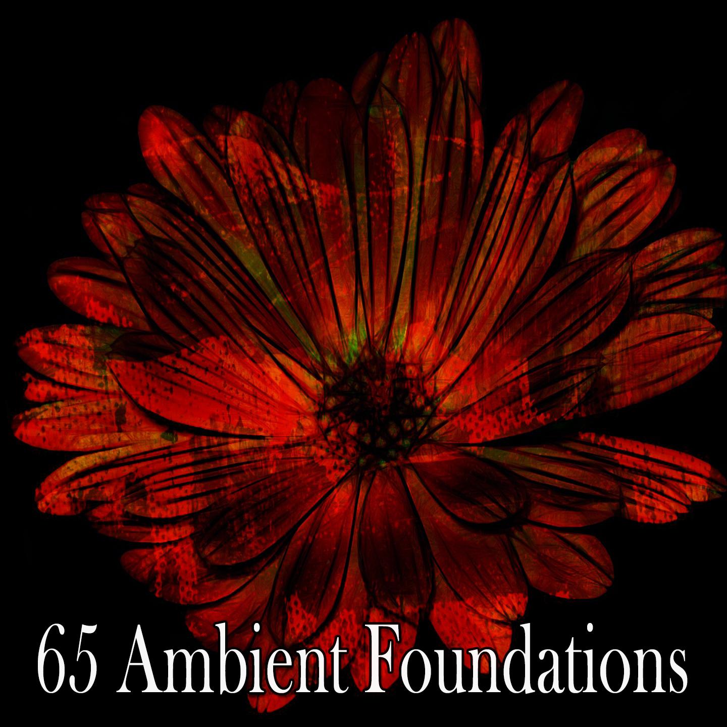 65 Ambient Foundations