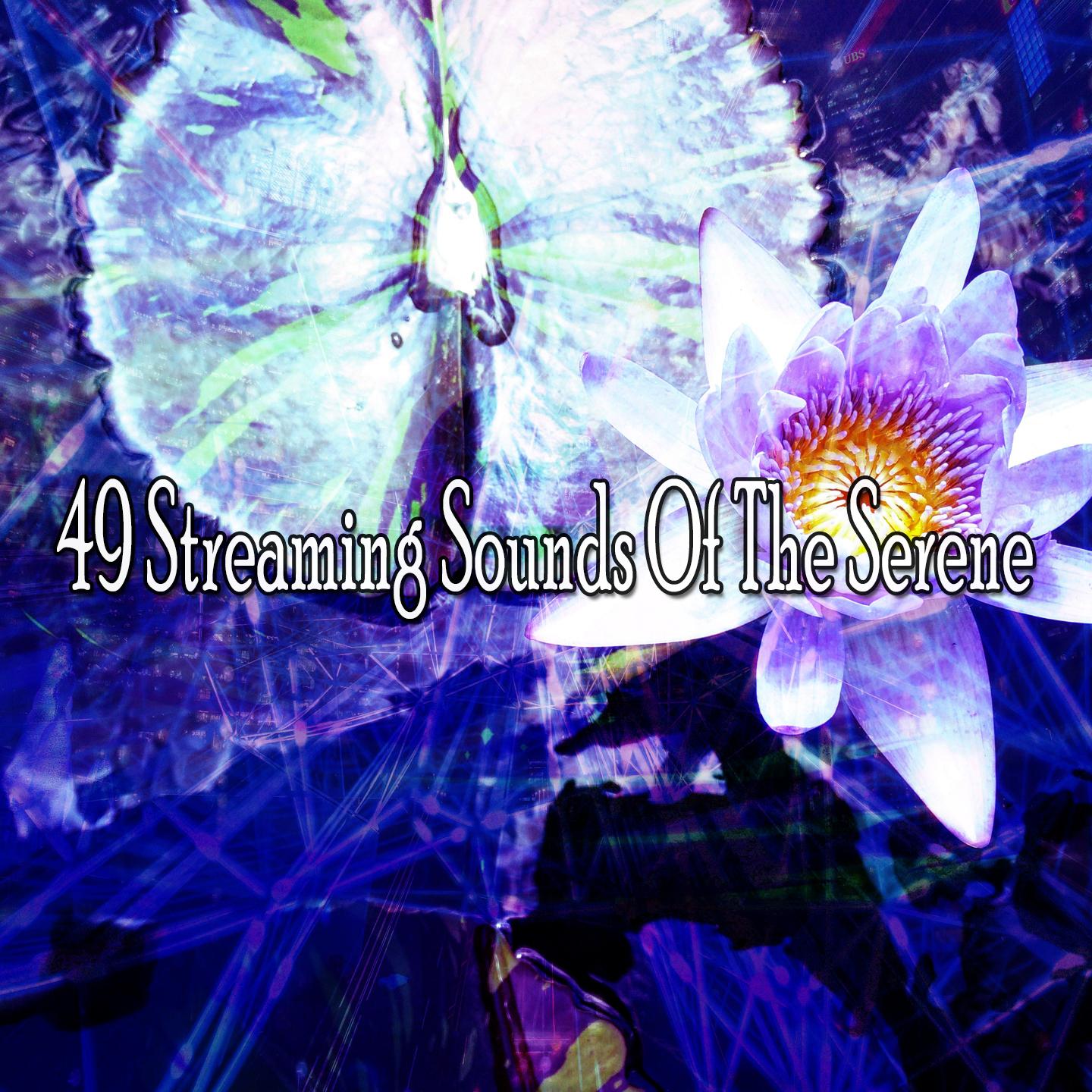 49 Streaming Sounds of the Serene