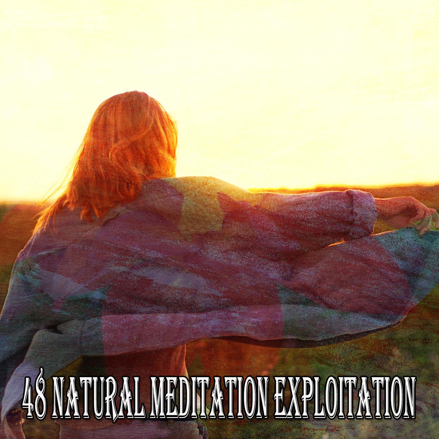 48 Natural Meditation Exploitation