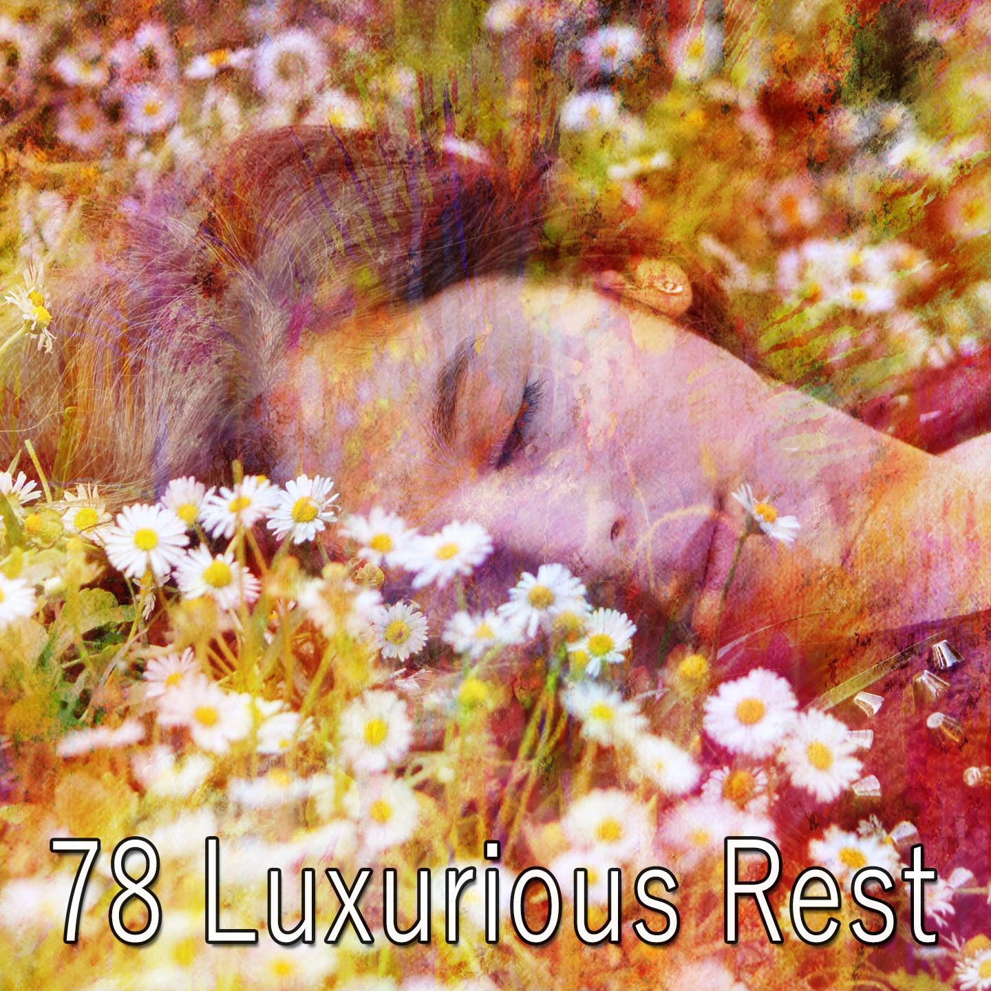 78 Luxurious Rest