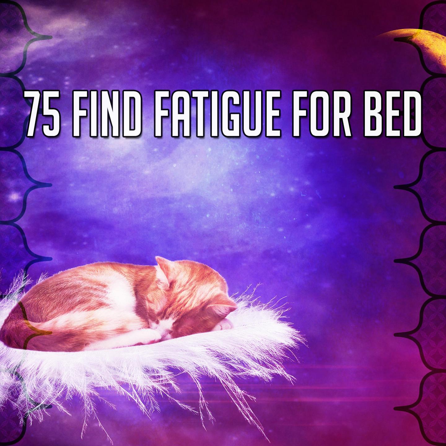 75 Find Fatigue for Bed
