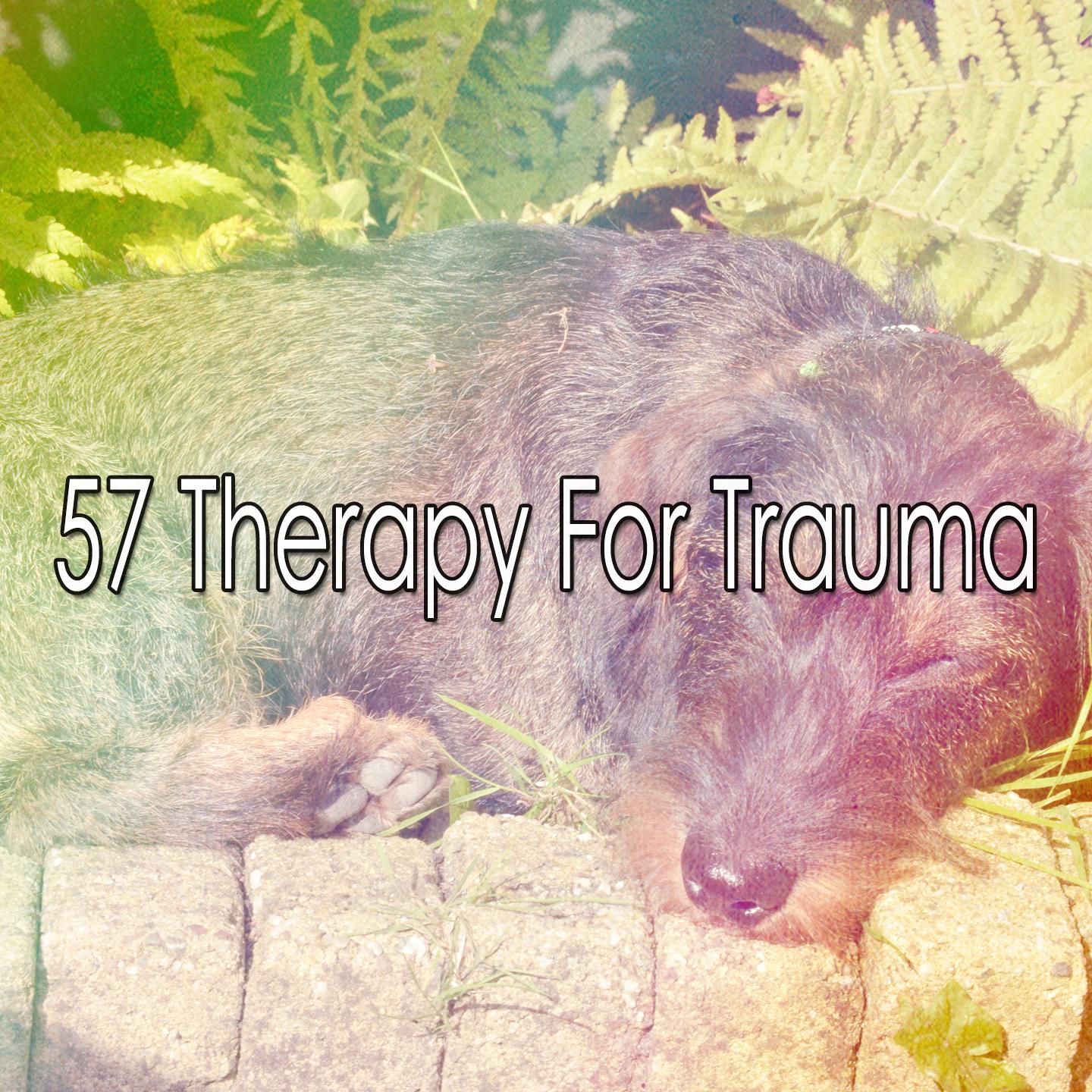 57 Therapy for Trauma