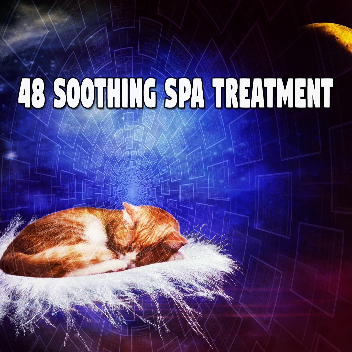 48 Soothing Spa Treatment