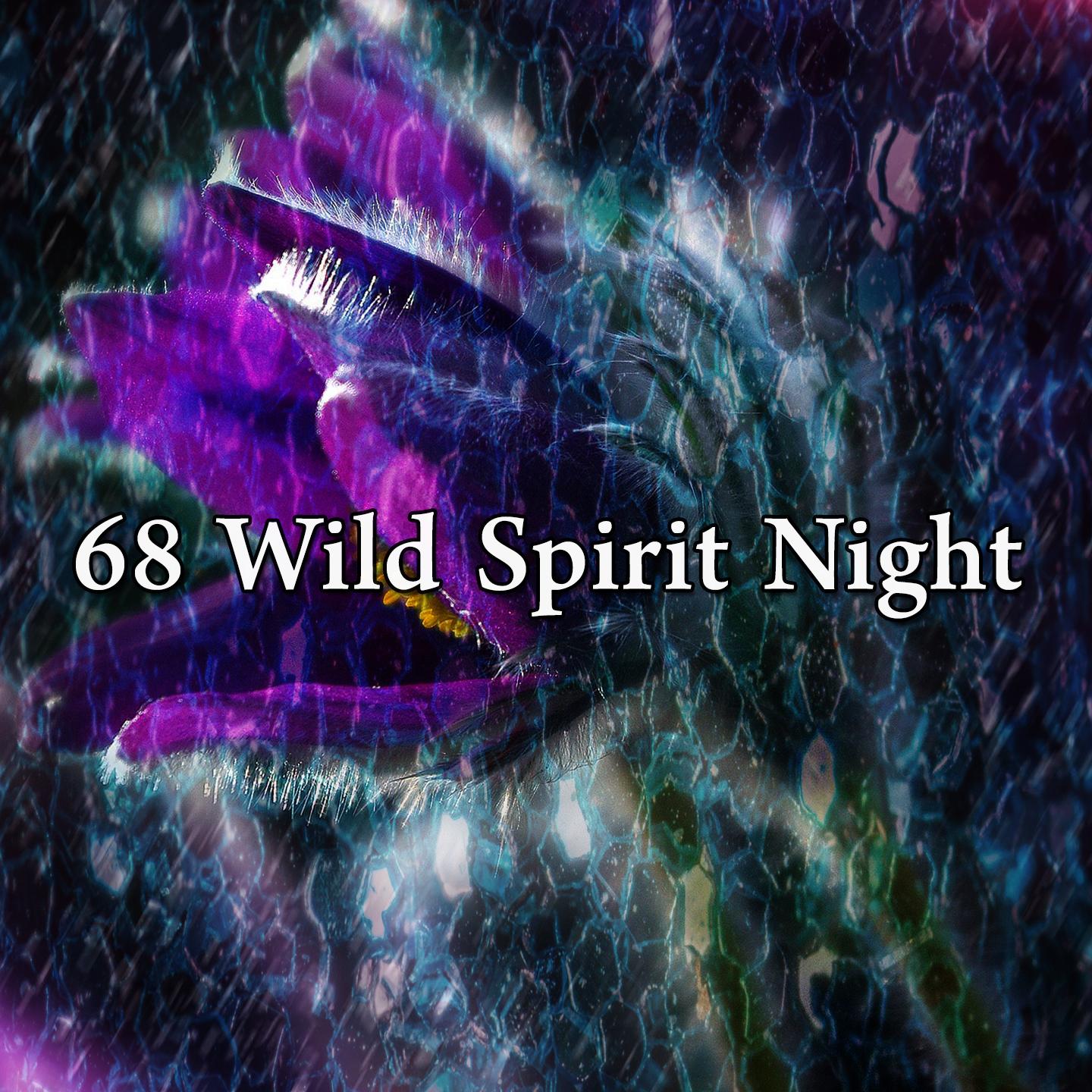 68 Wild Spirit Night