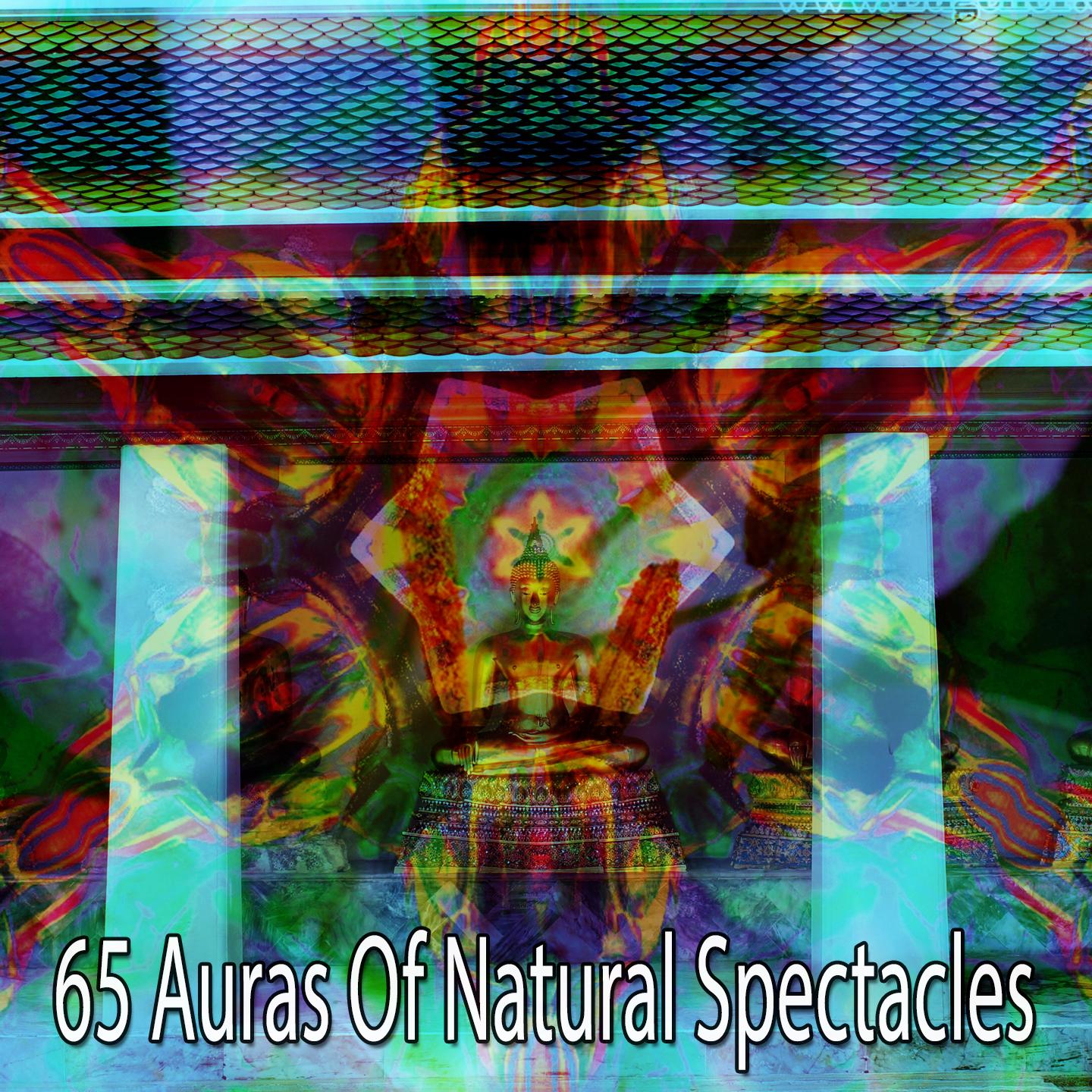 65 Auras of Natural Spectacles