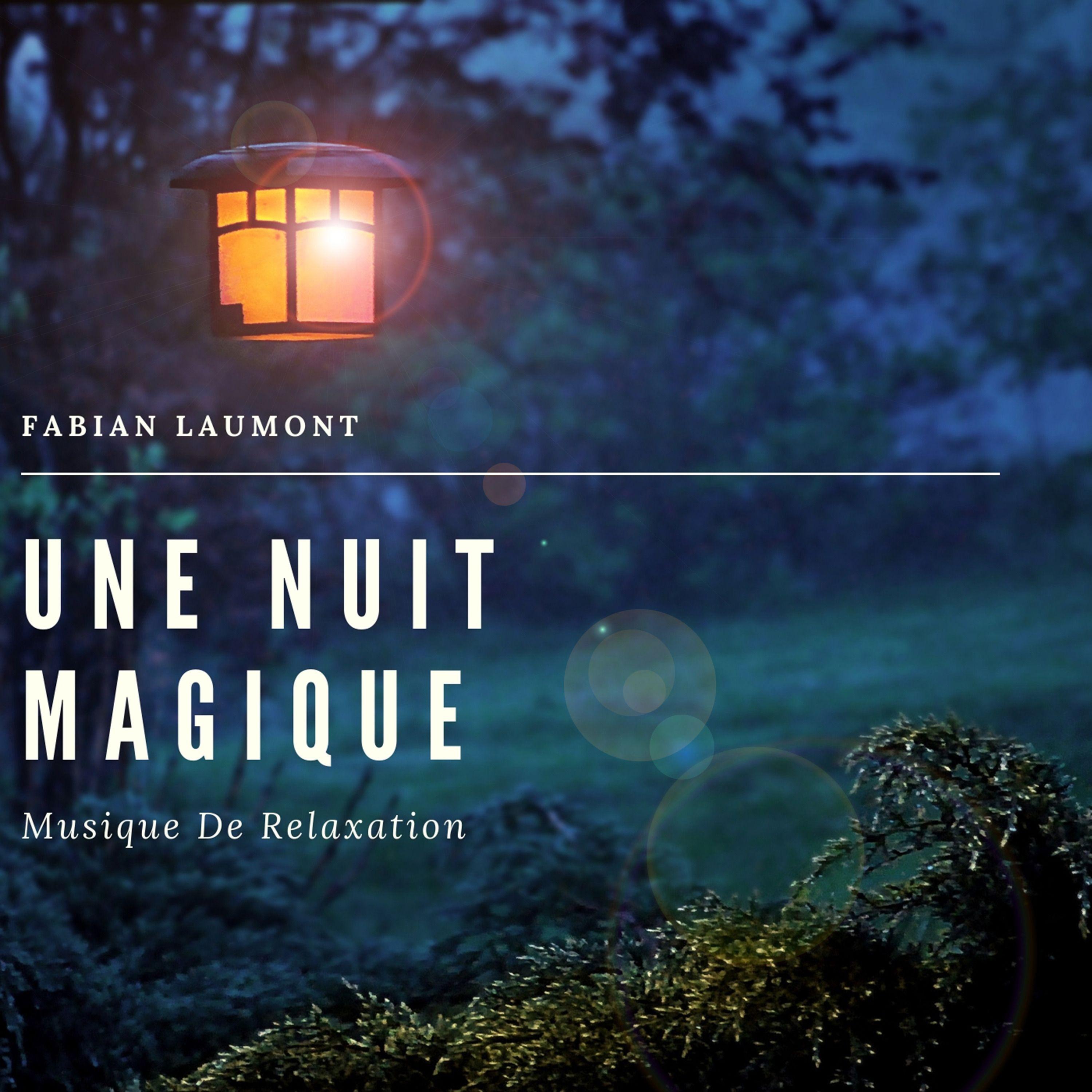 Une Nuit Magique