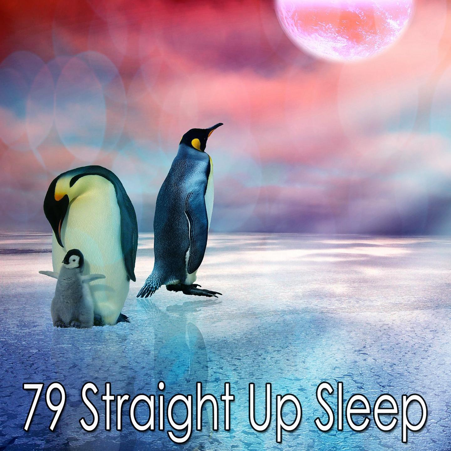 79 Straight up Sleep