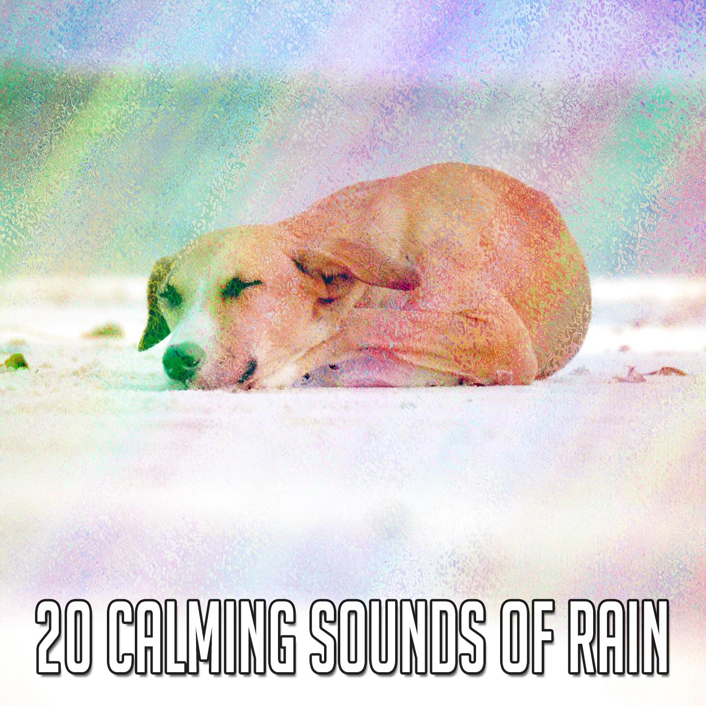 20 Calming Sounds of Rain