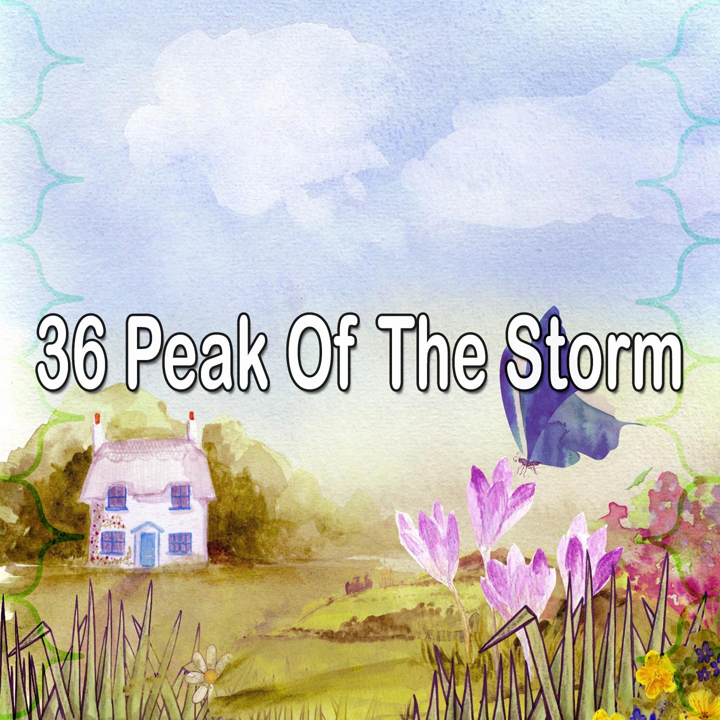 36 Peak of the Storm