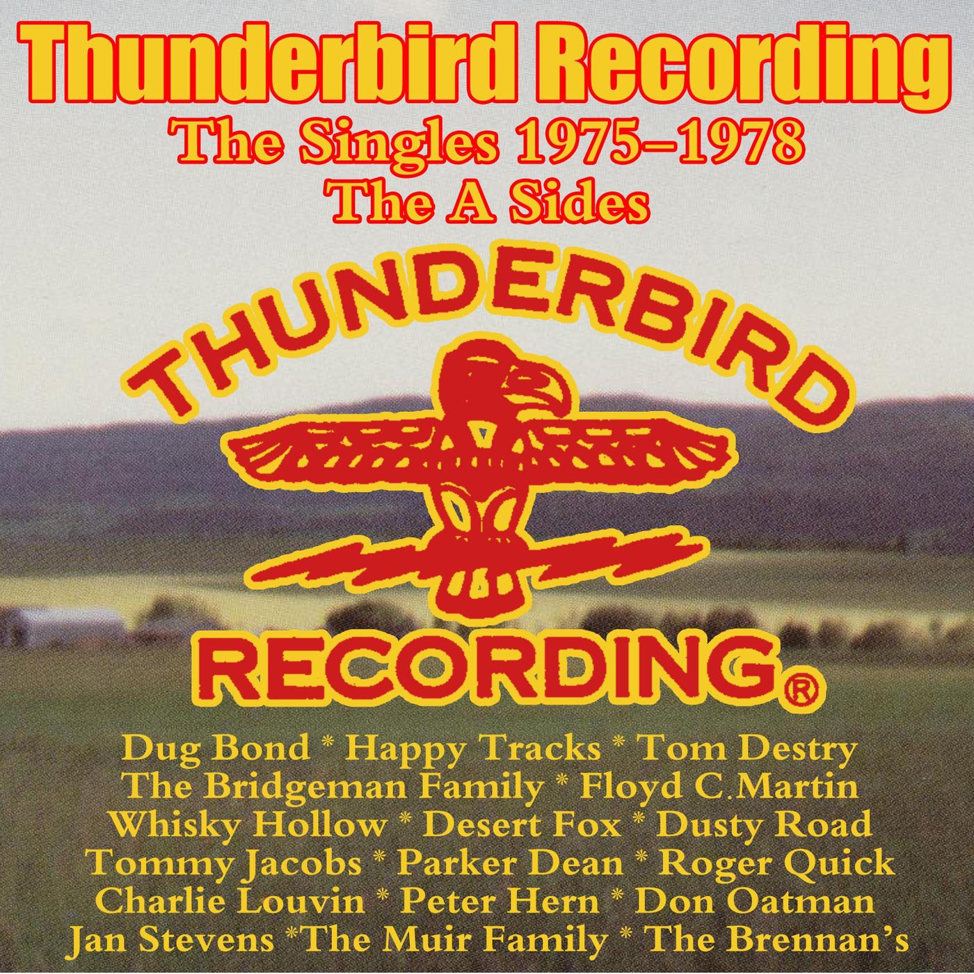 Thunderbird Recordings, the Singles 1975 - 1978: The A-Sides